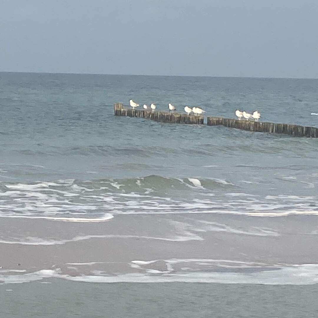 Mehr Meer