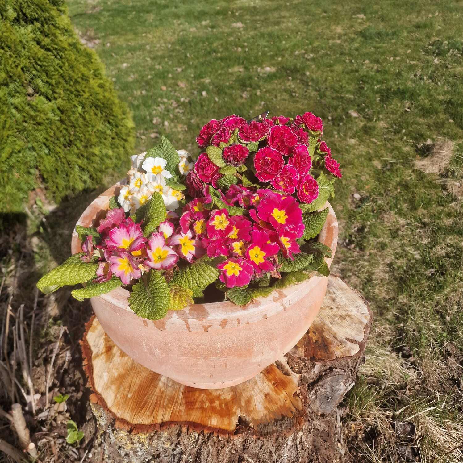 Ostern in Dömitz