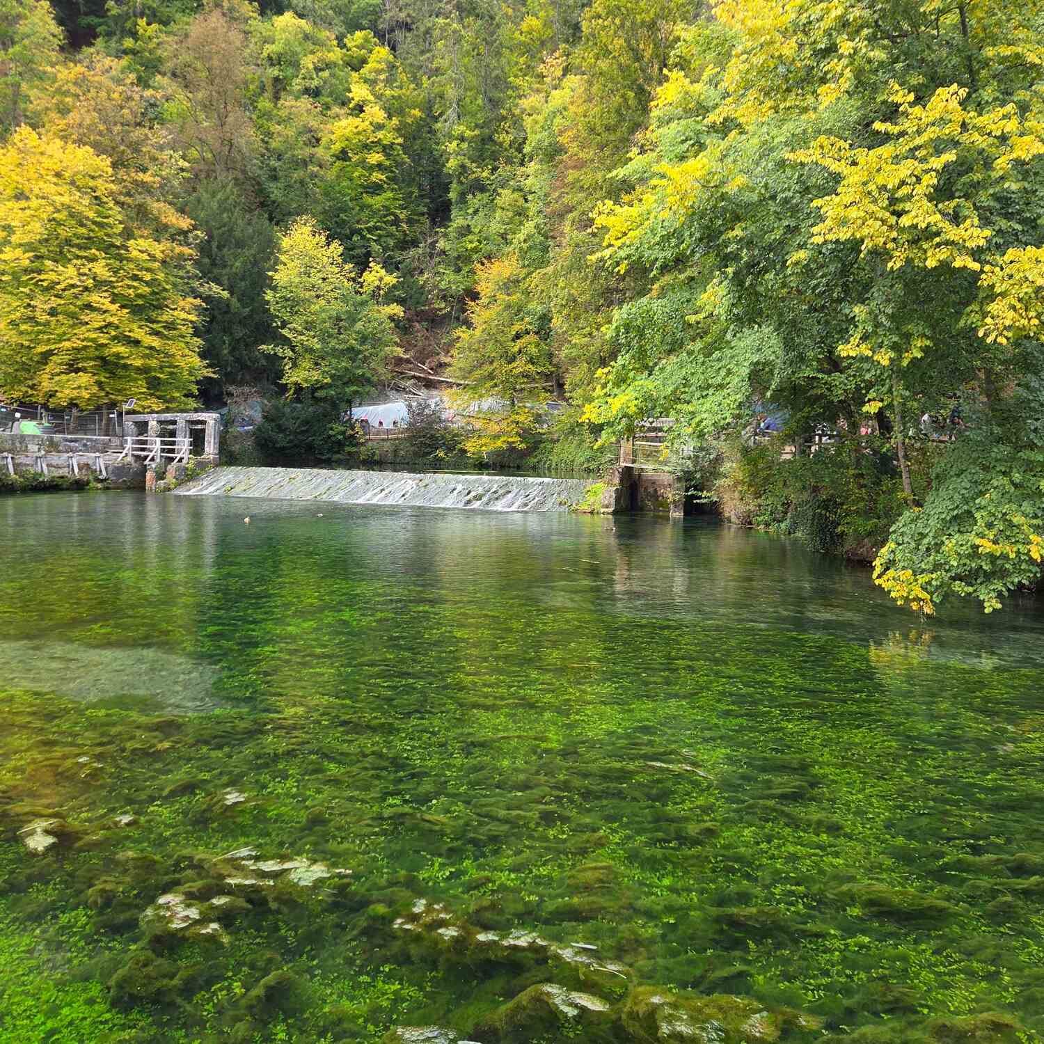 In Ulm, um Ulm u. um Ulm herum