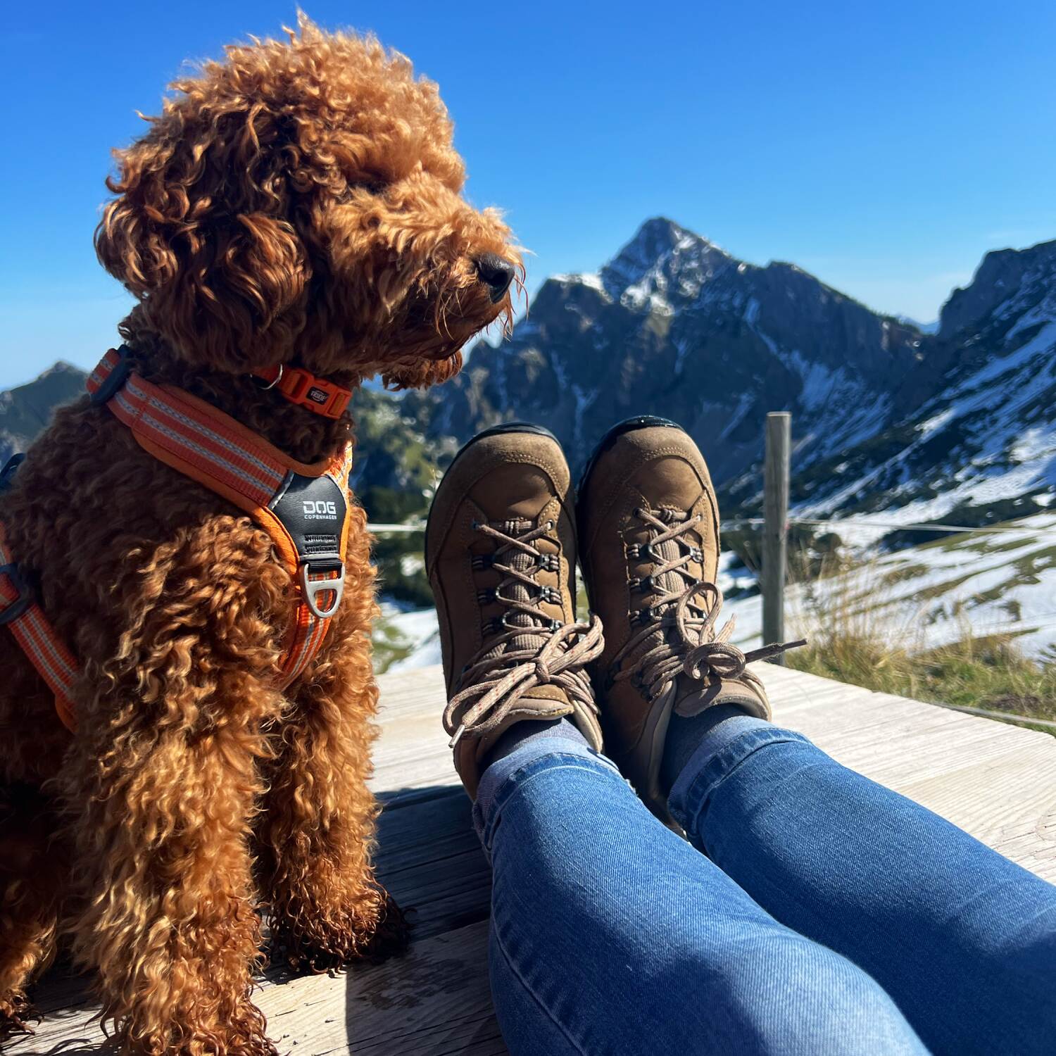 Auf in die Tiroler Berge 🏔️
