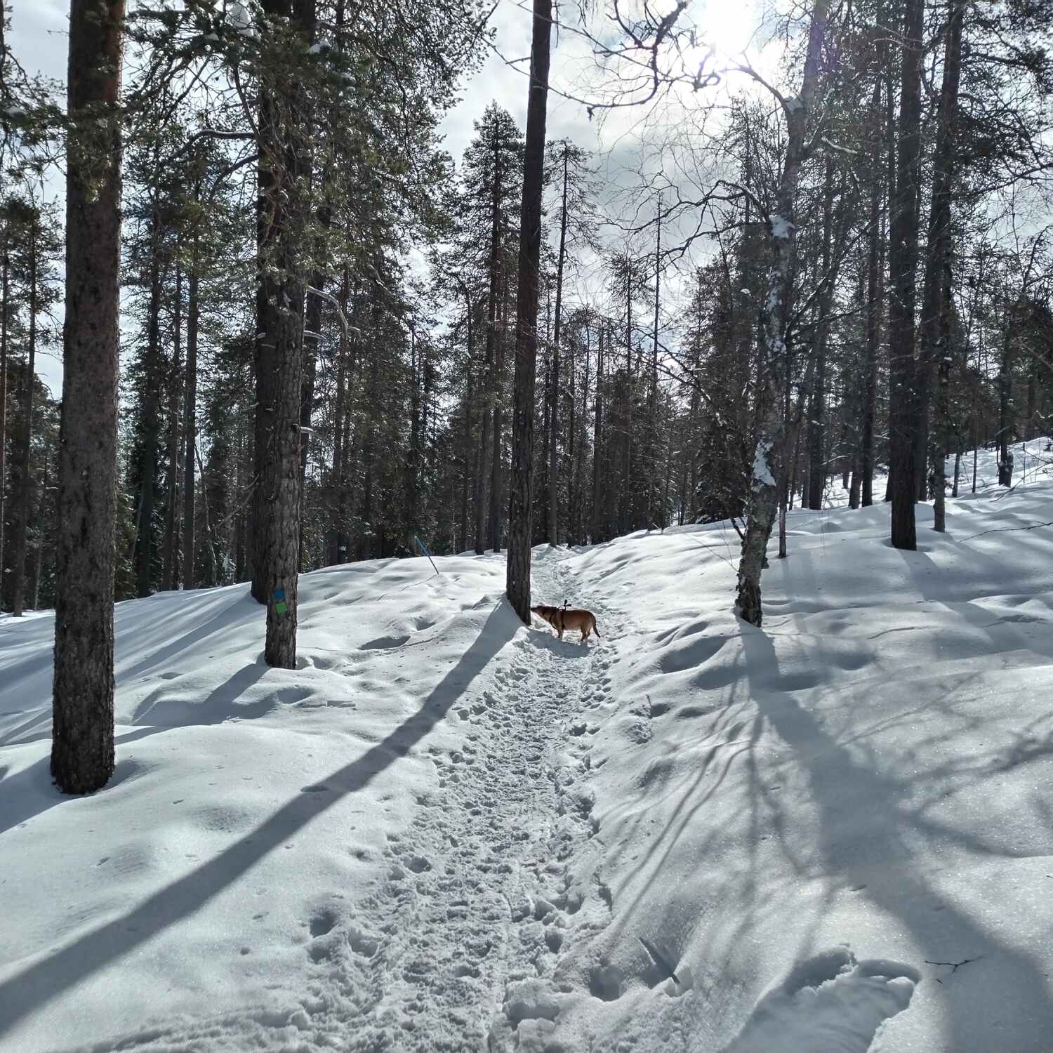 Pääsiäinen Luostolla