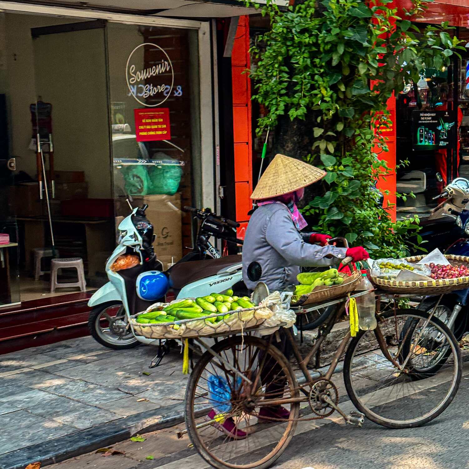 Vietnam 2024