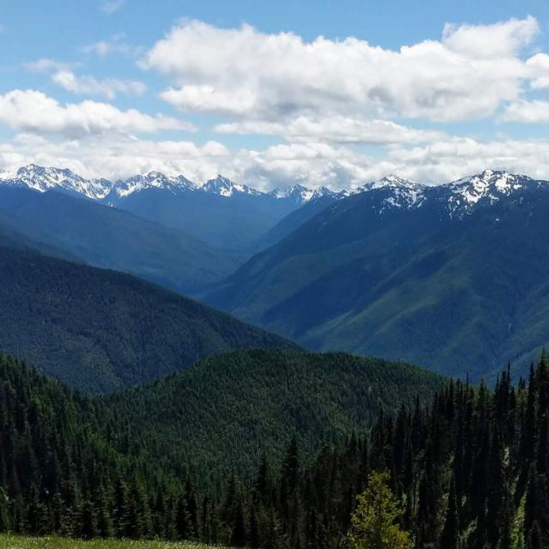 Olympic National Park