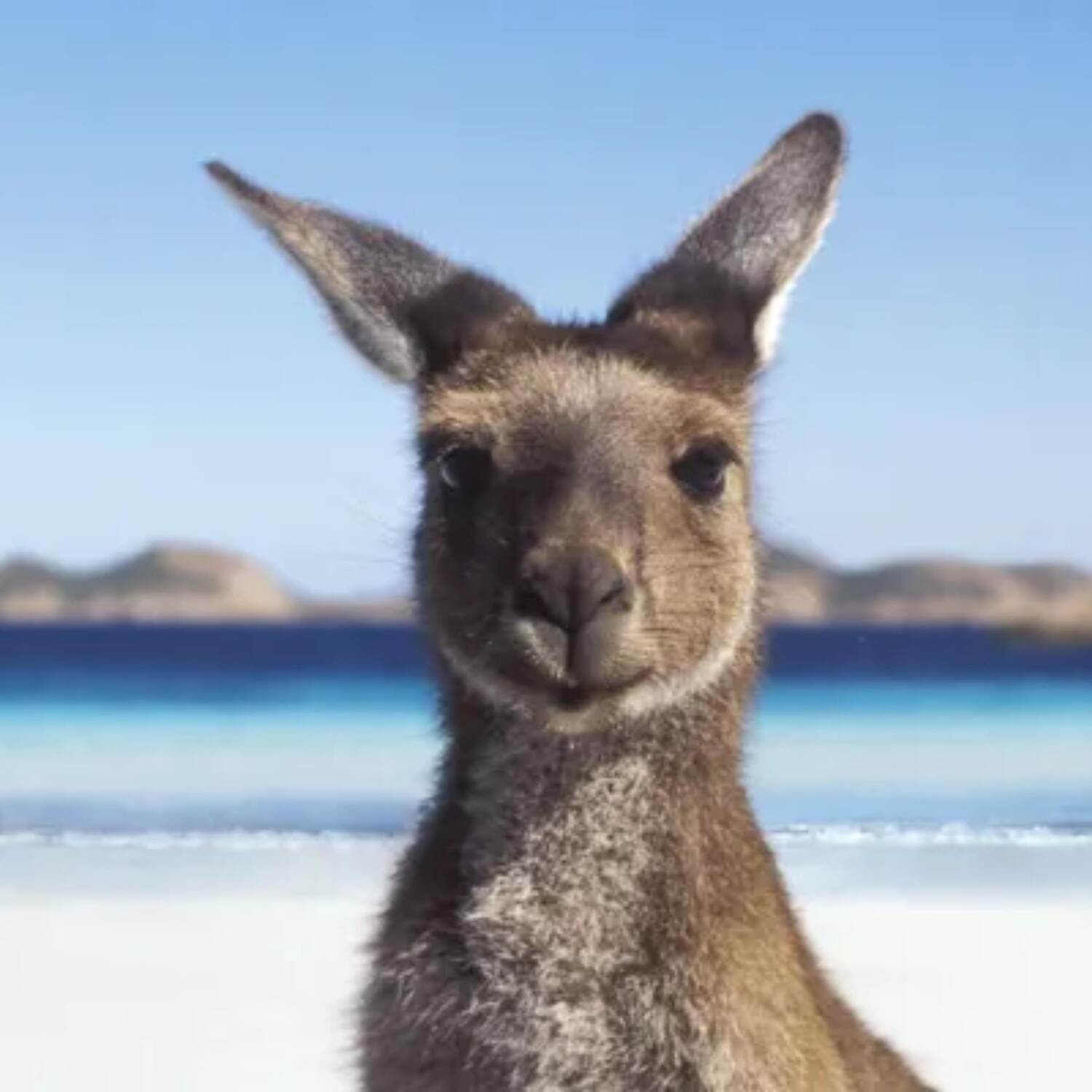 Australien 2023/24
