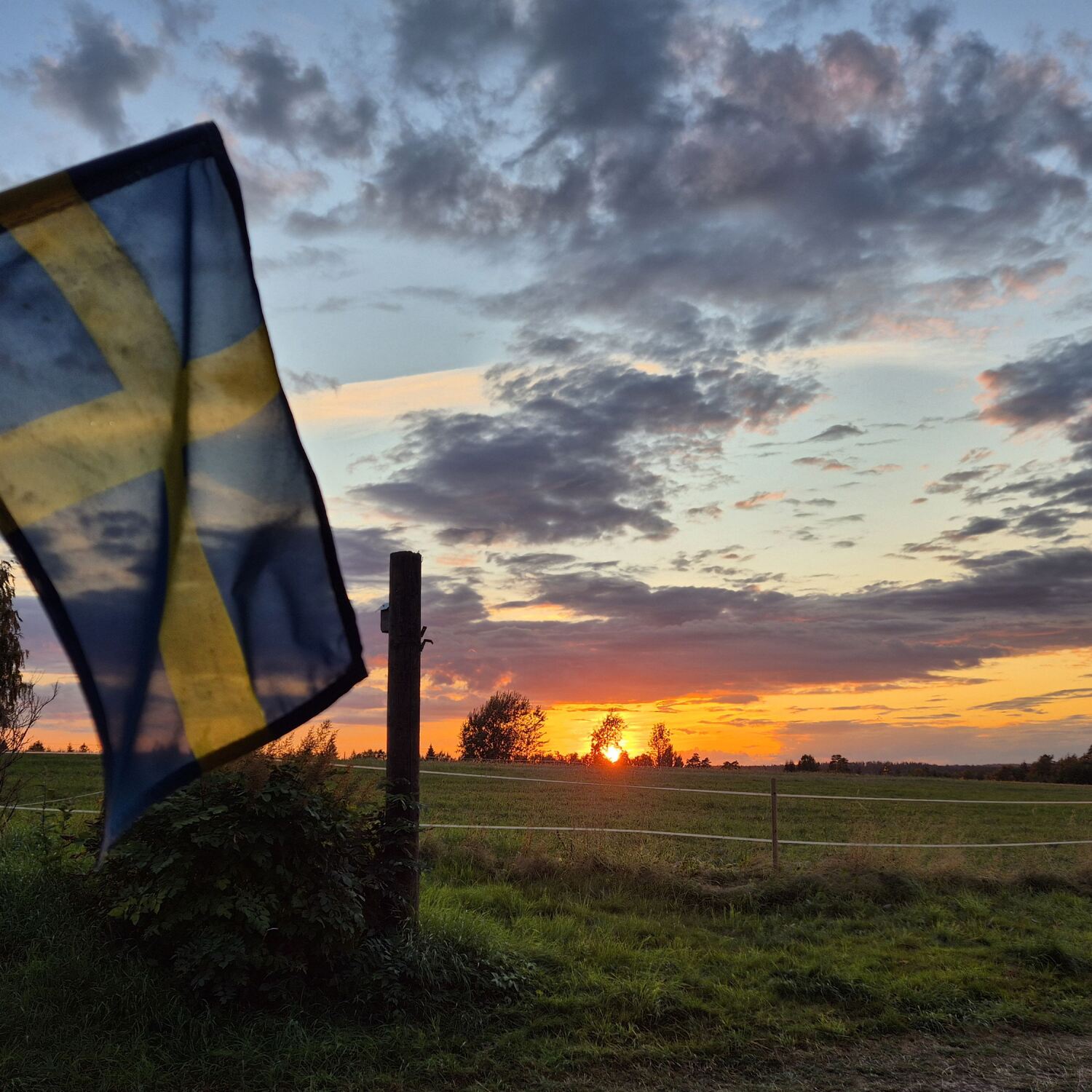Mit Zottl nach Schweden