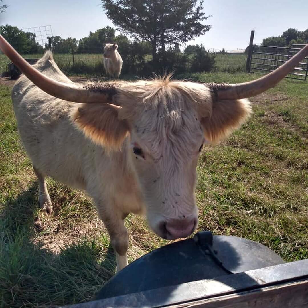 Family Trip For Coos