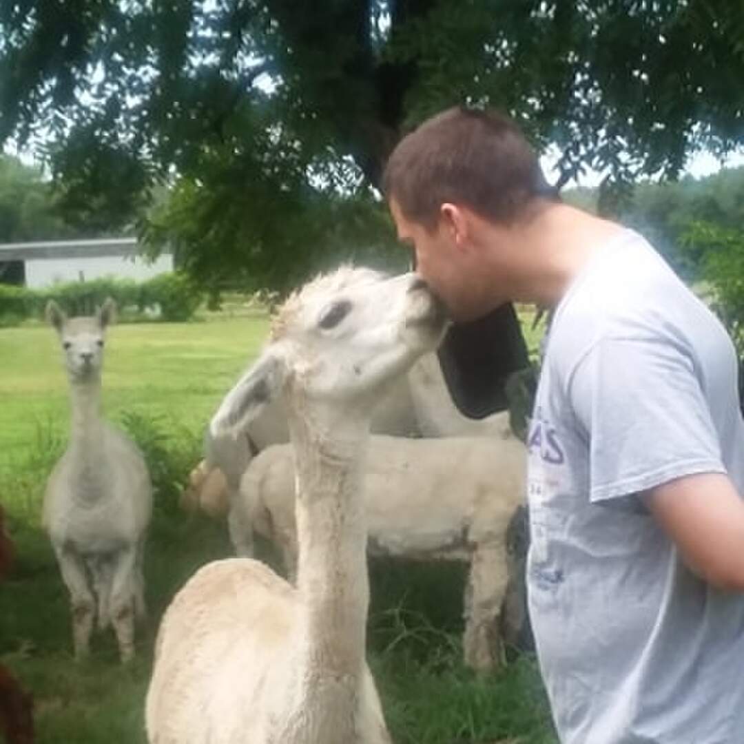 Alpaca Day Trip