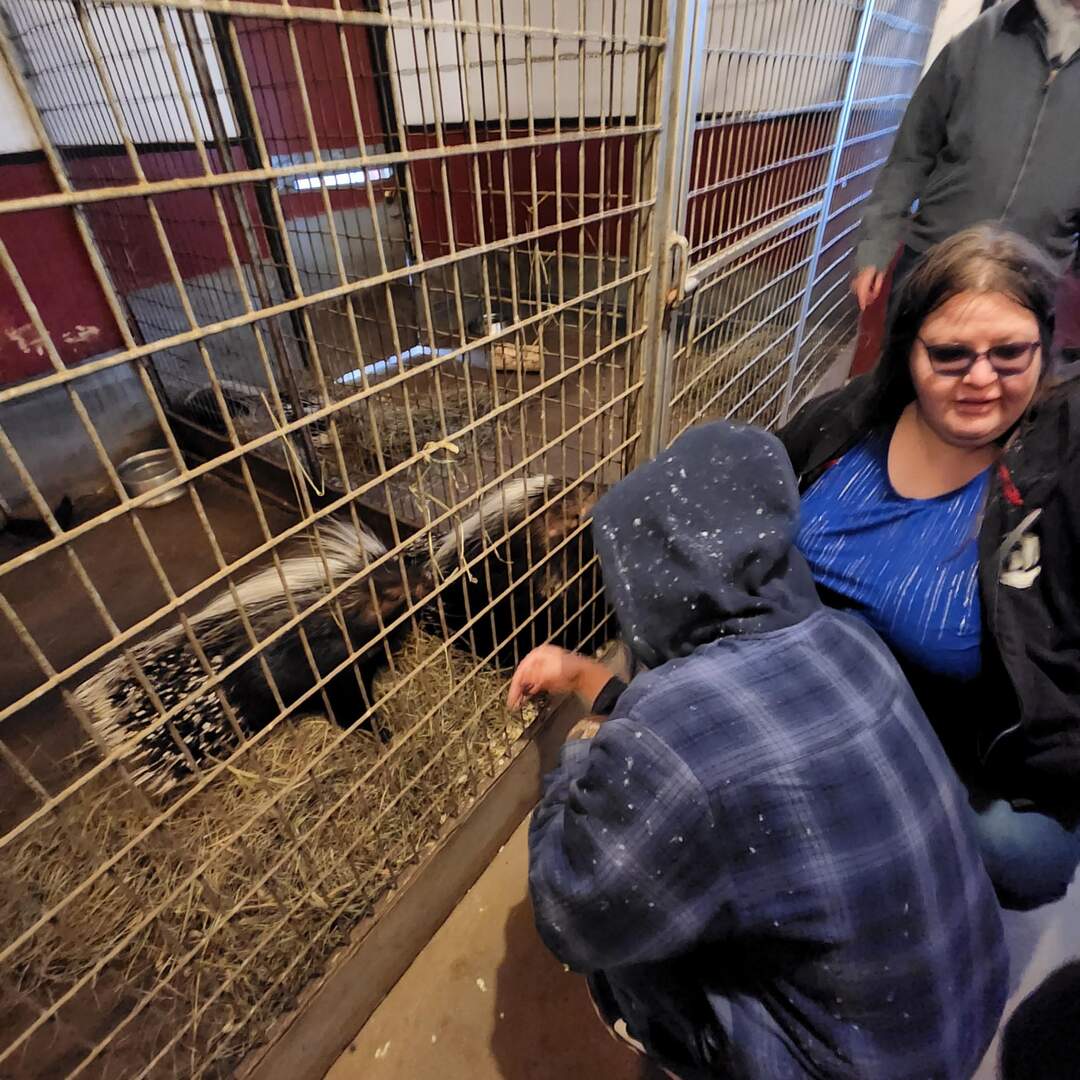 Adventures In Wildlife