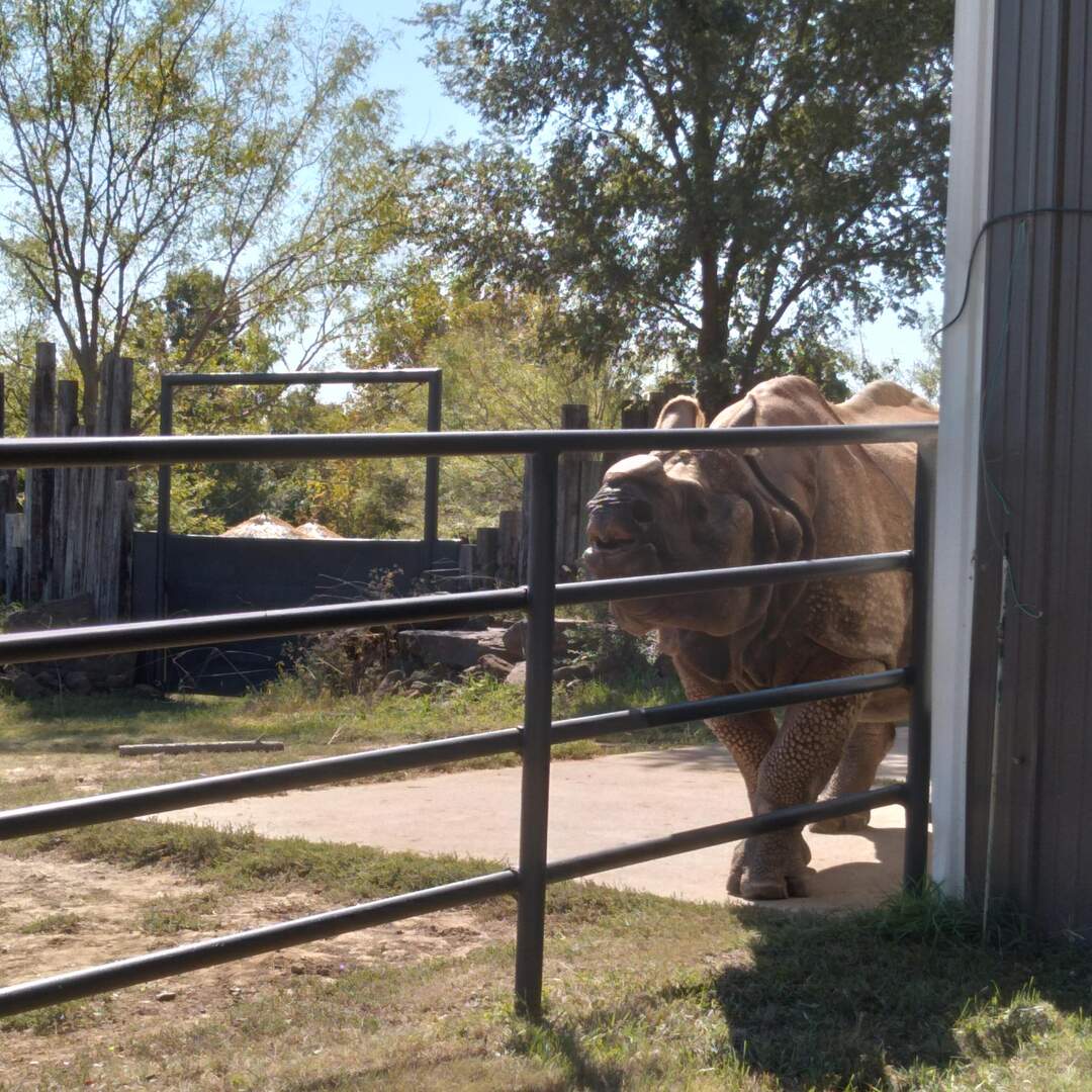 Going To the Zoo Take 2