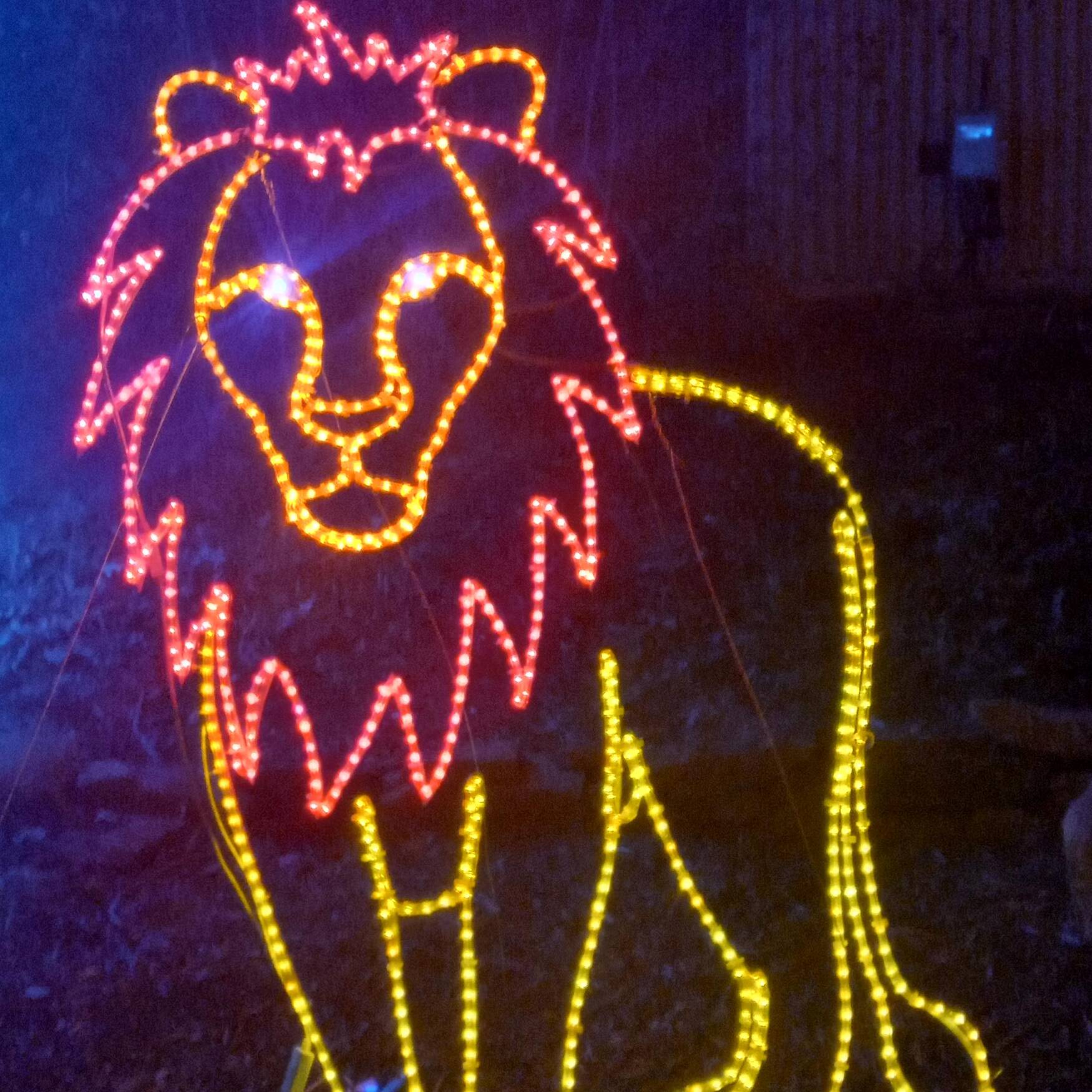 Topeka Zoo Lights