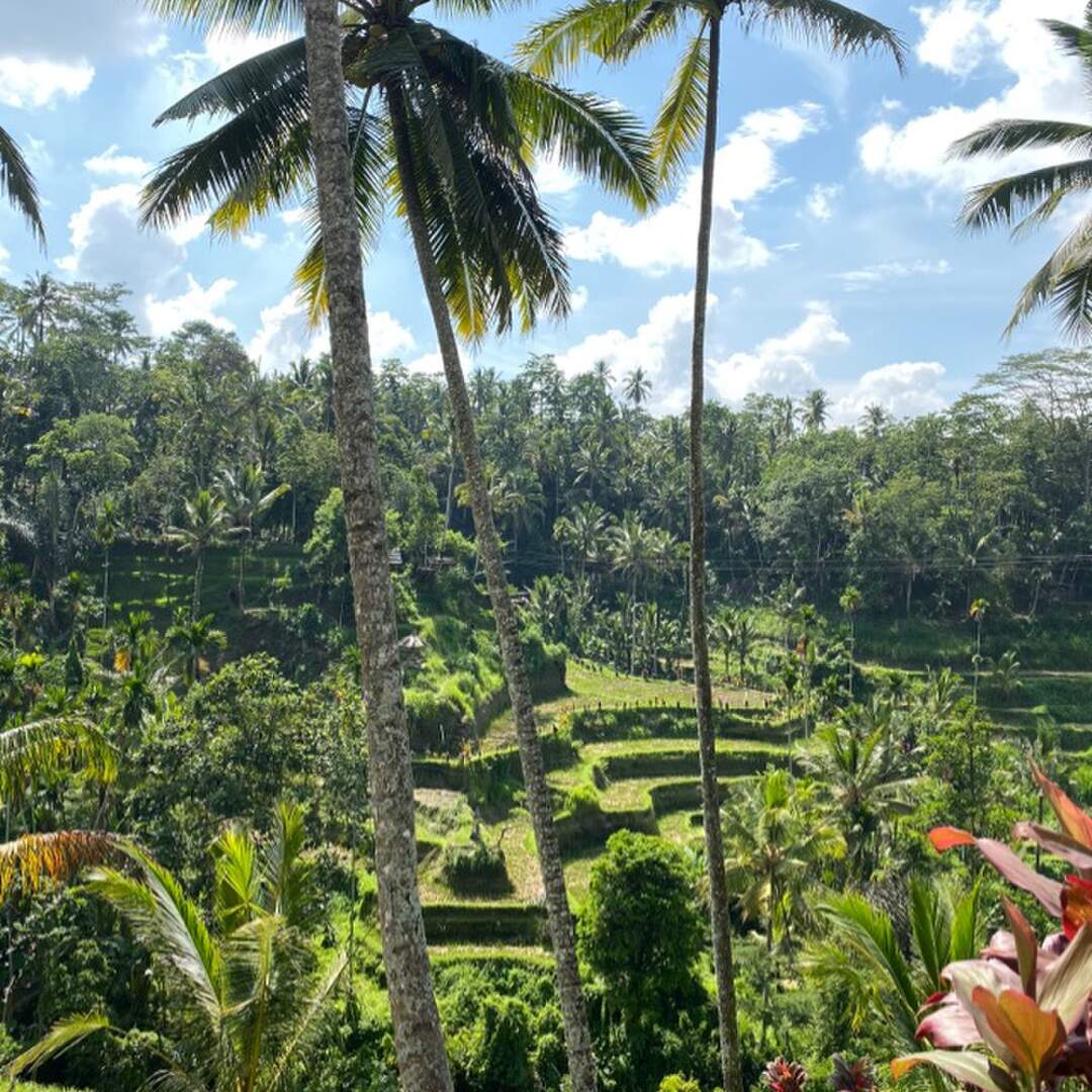 Asia 2019/20