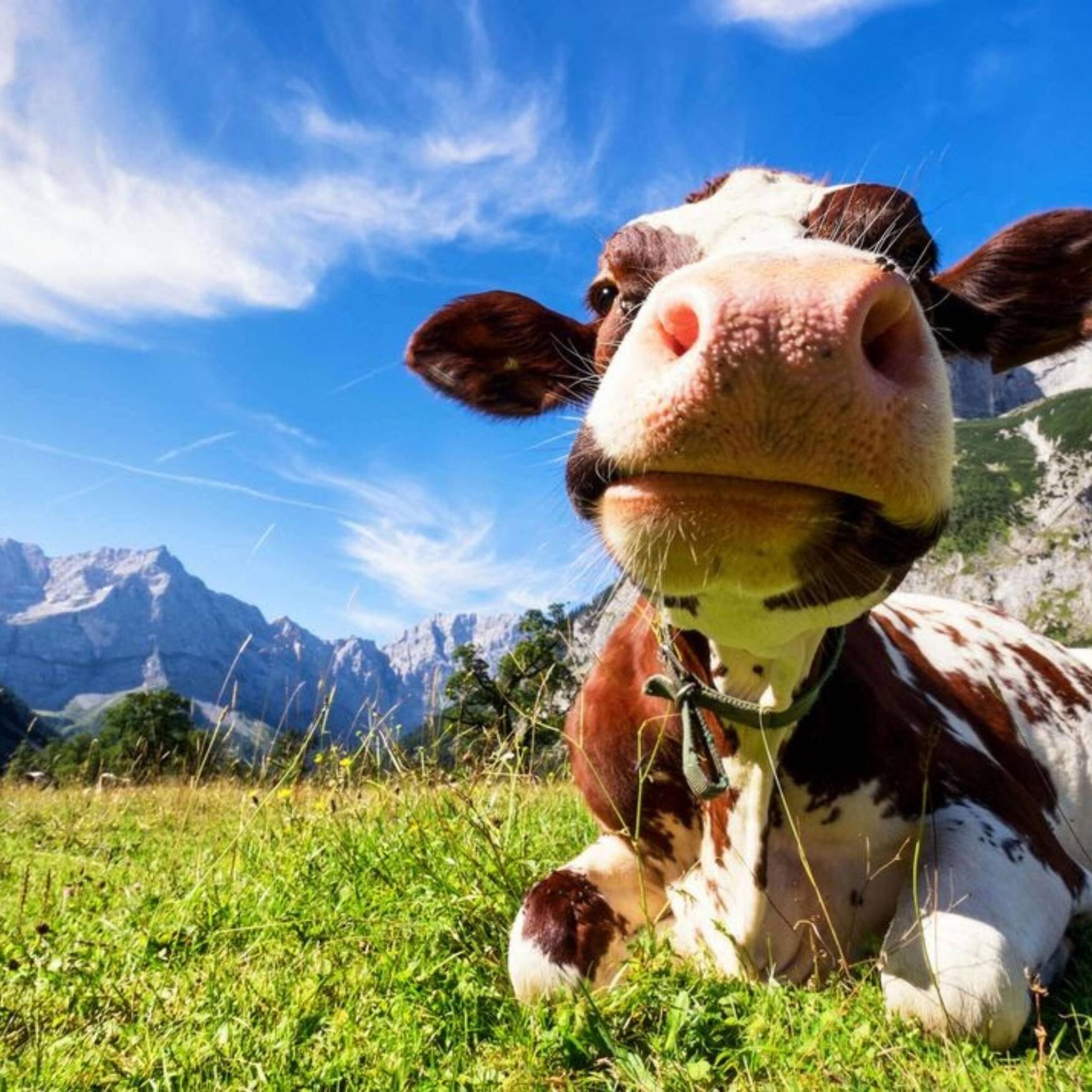 Vercors Août 2023