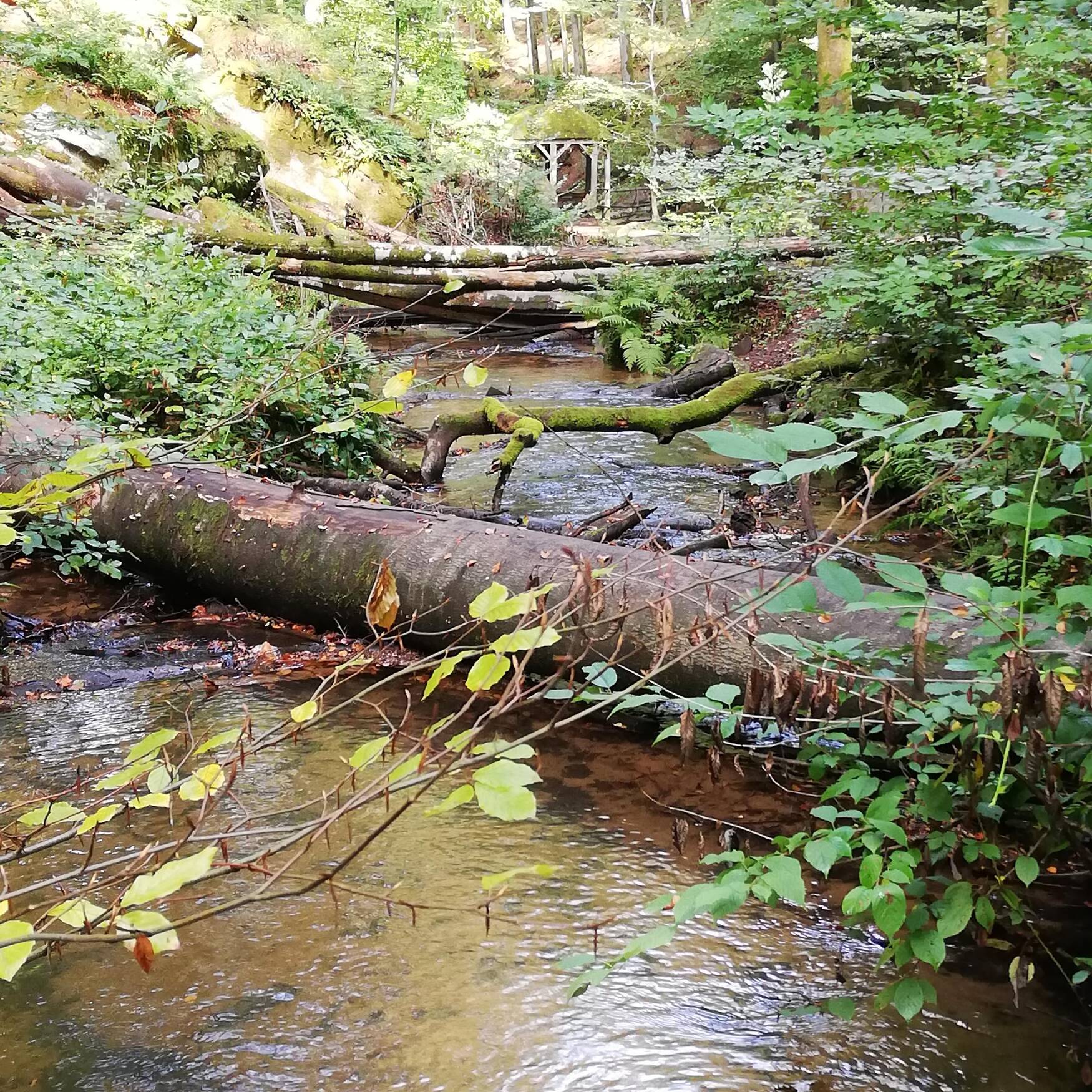 Karlstal im Pfälzer Wald