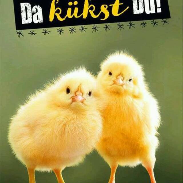 Inge Kommt