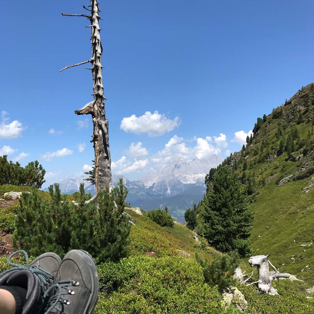 Mountains & Austria again