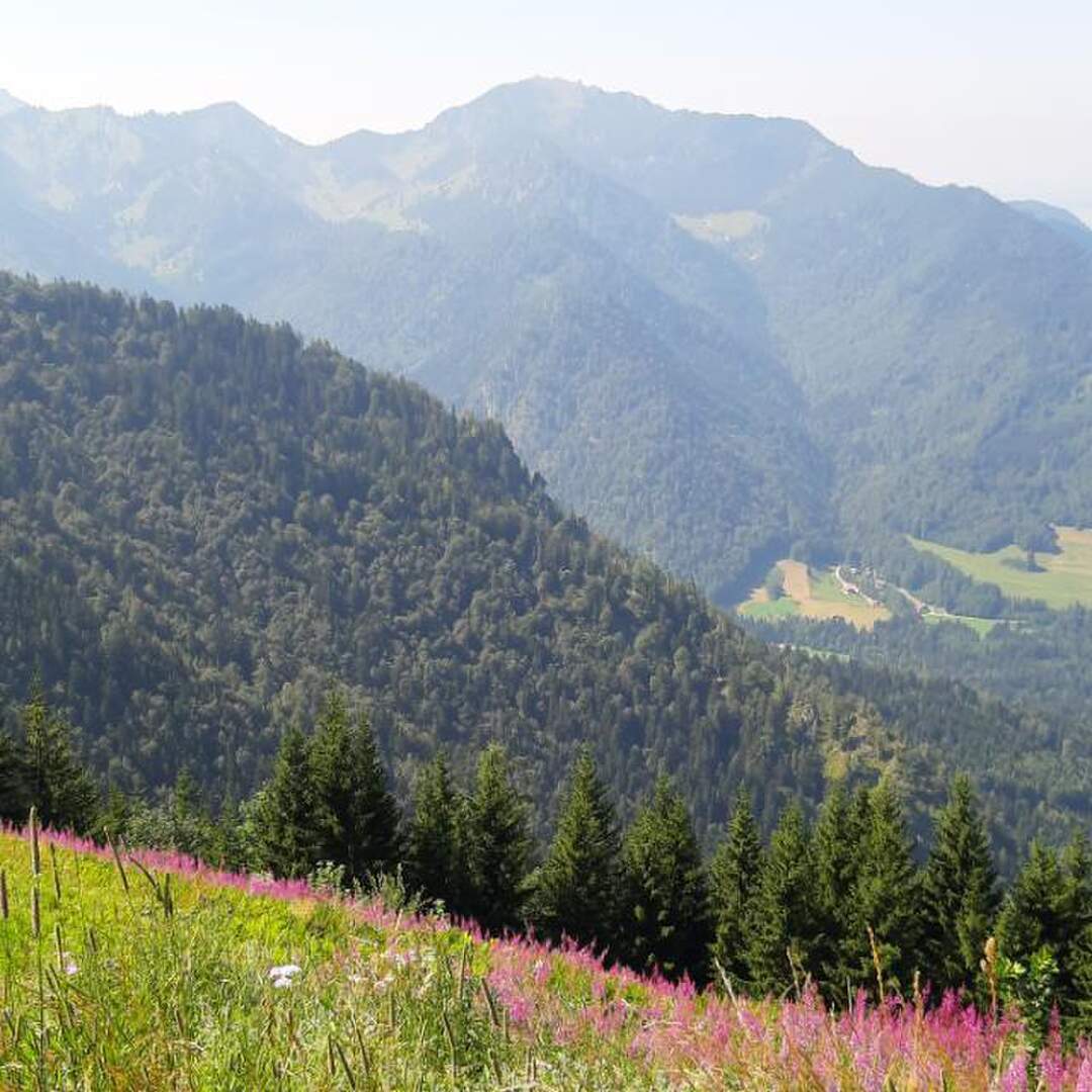 Urlaub Ruhpolding 2020