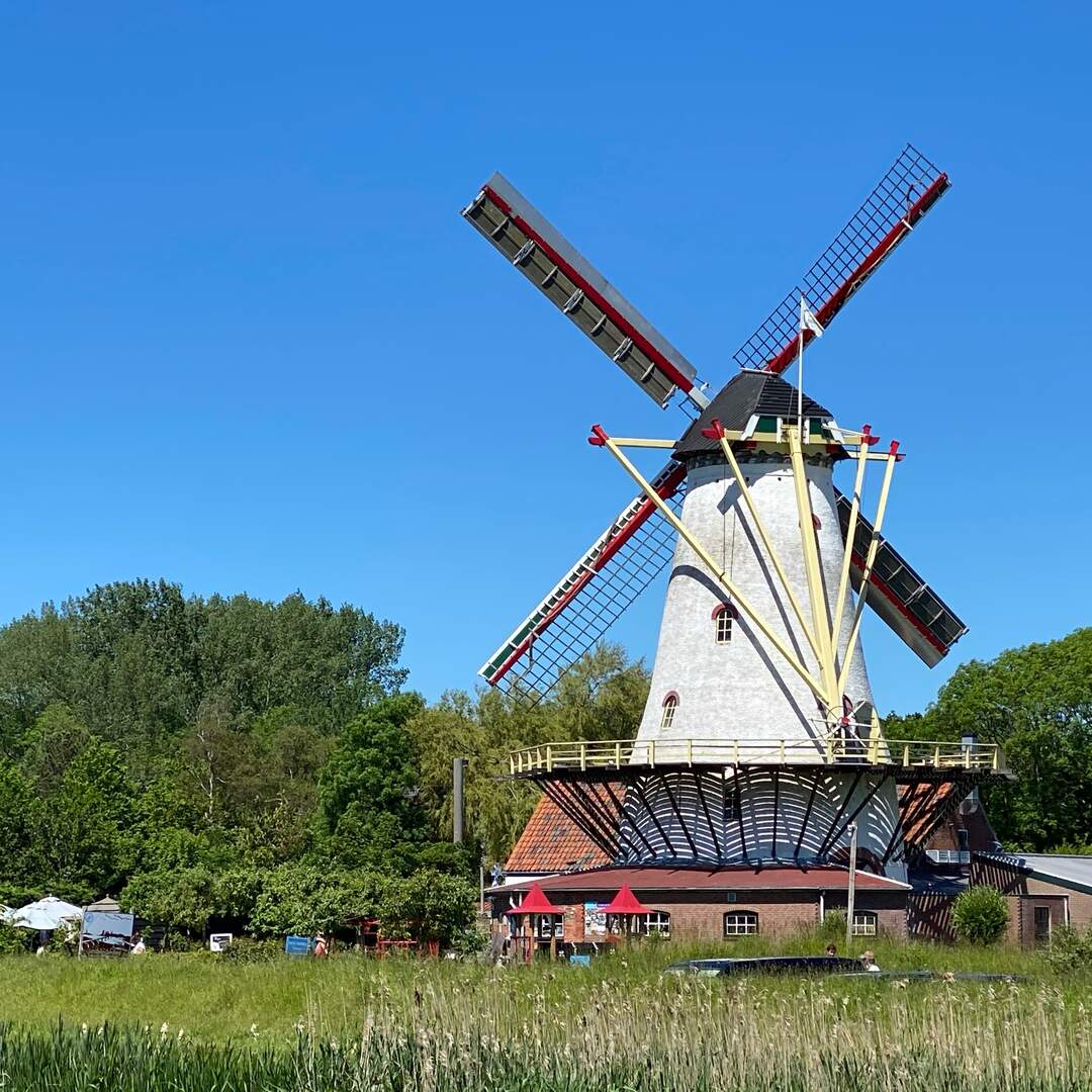 Niederlande Womo 2021