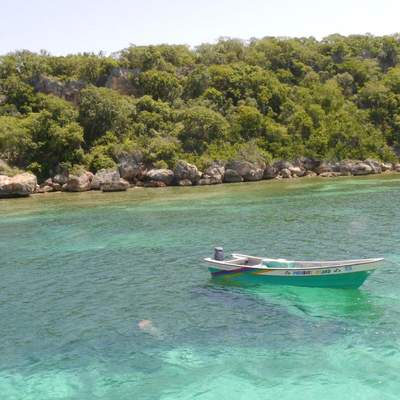 DomRep