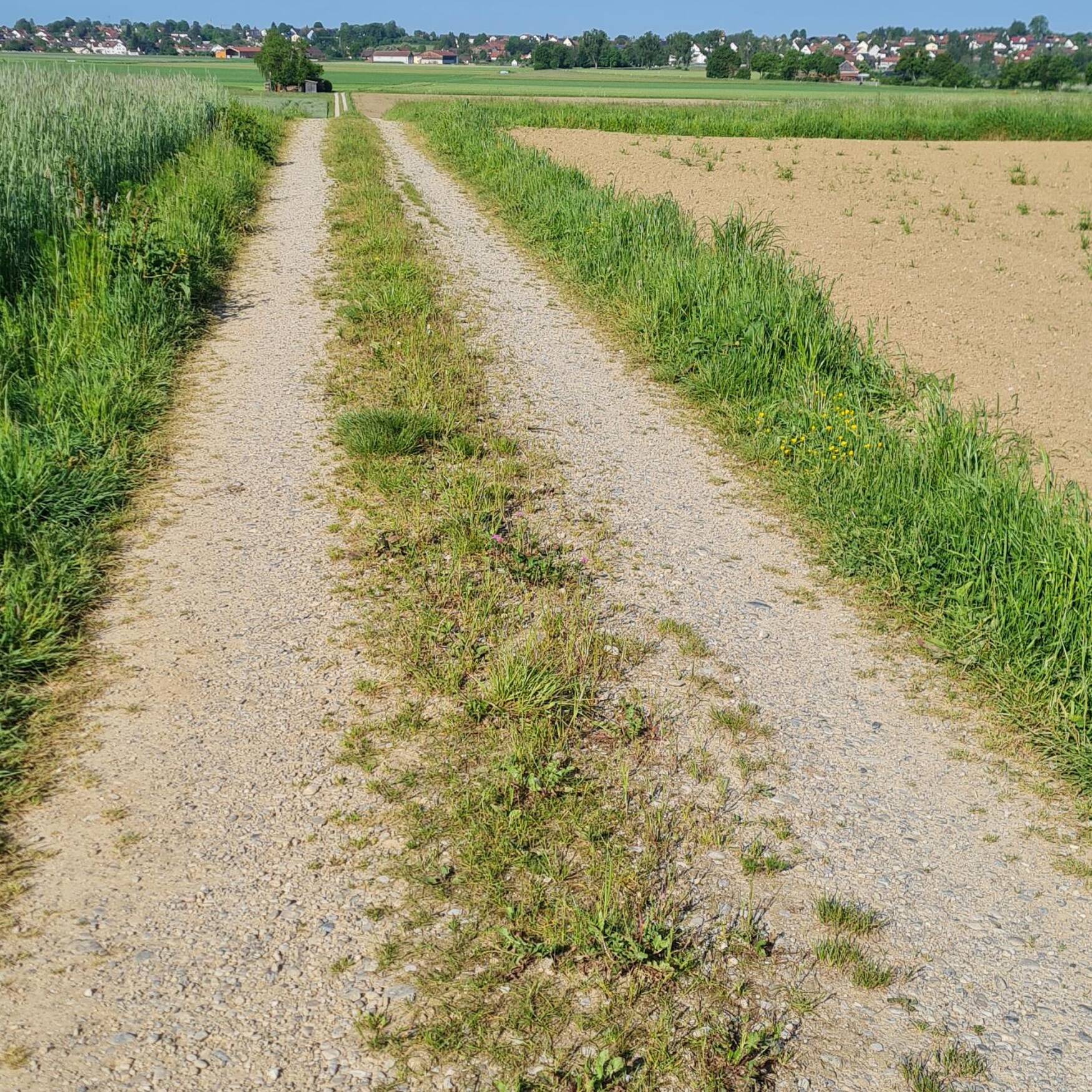 Camino del Norte