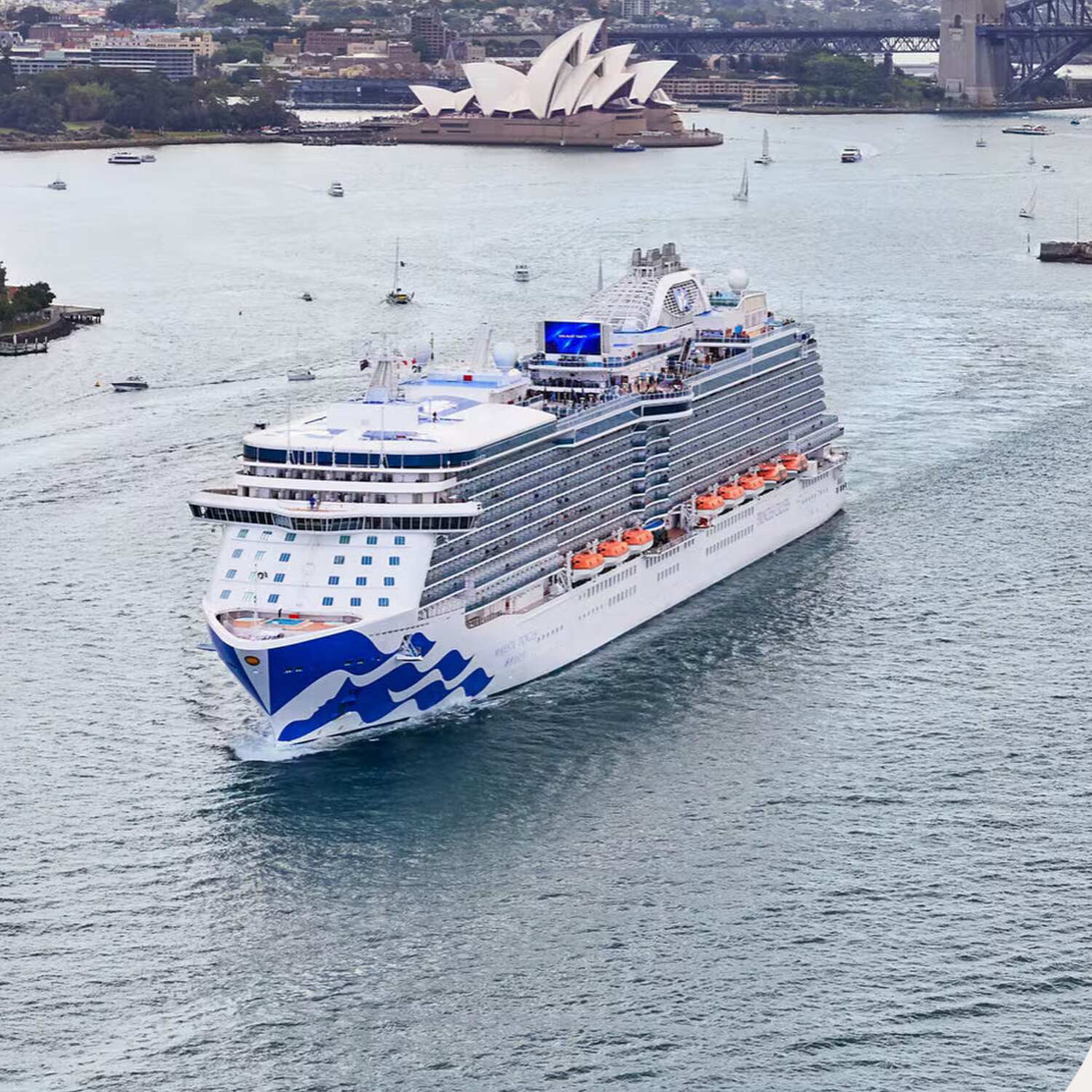 Royal Princess Cruise 1/2/25