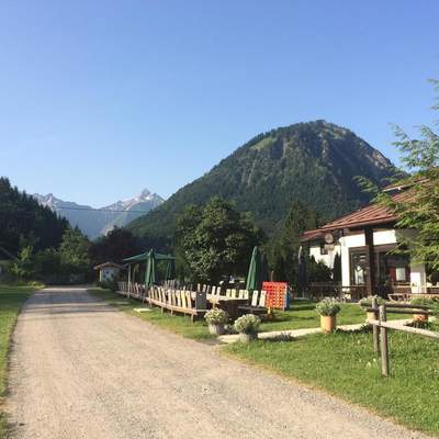 Transalp 2015