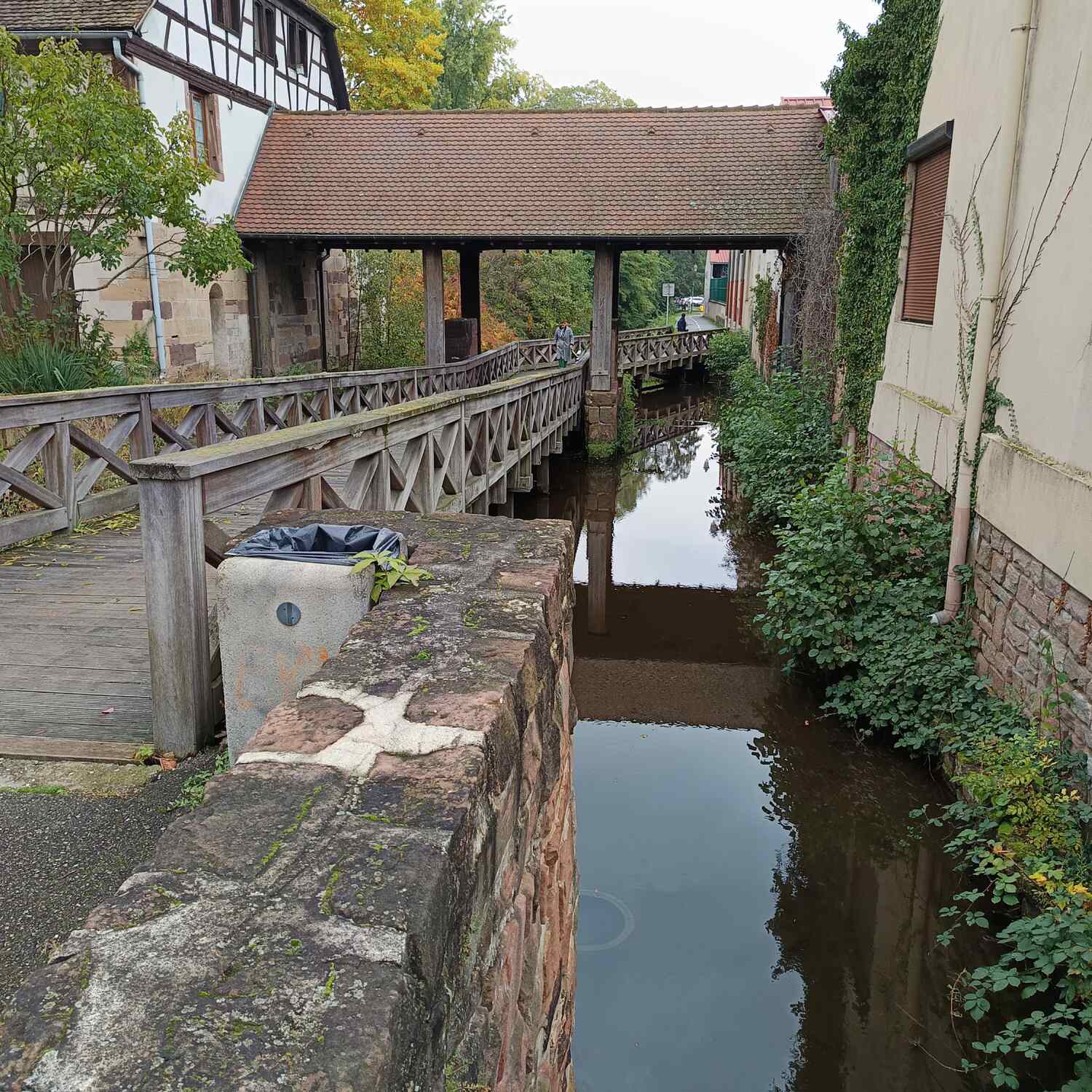 Elsaß und Weinheim