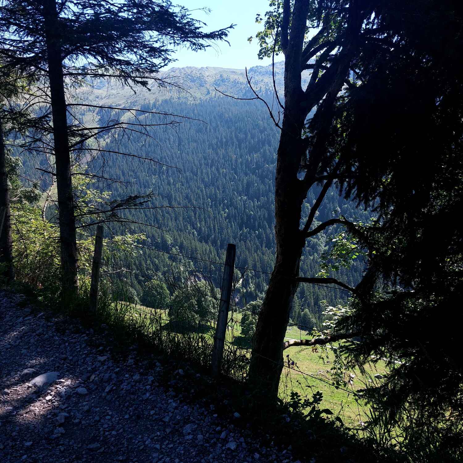 Wanderung Briesenhaus