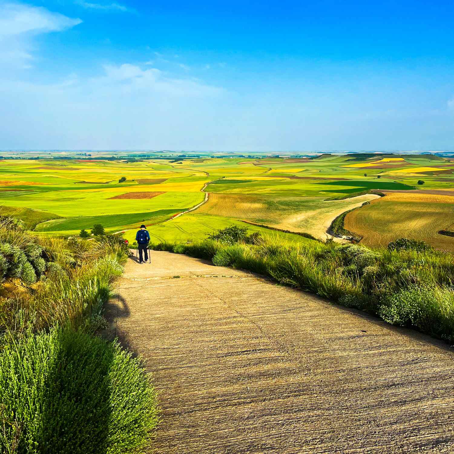 Camino de Santiago