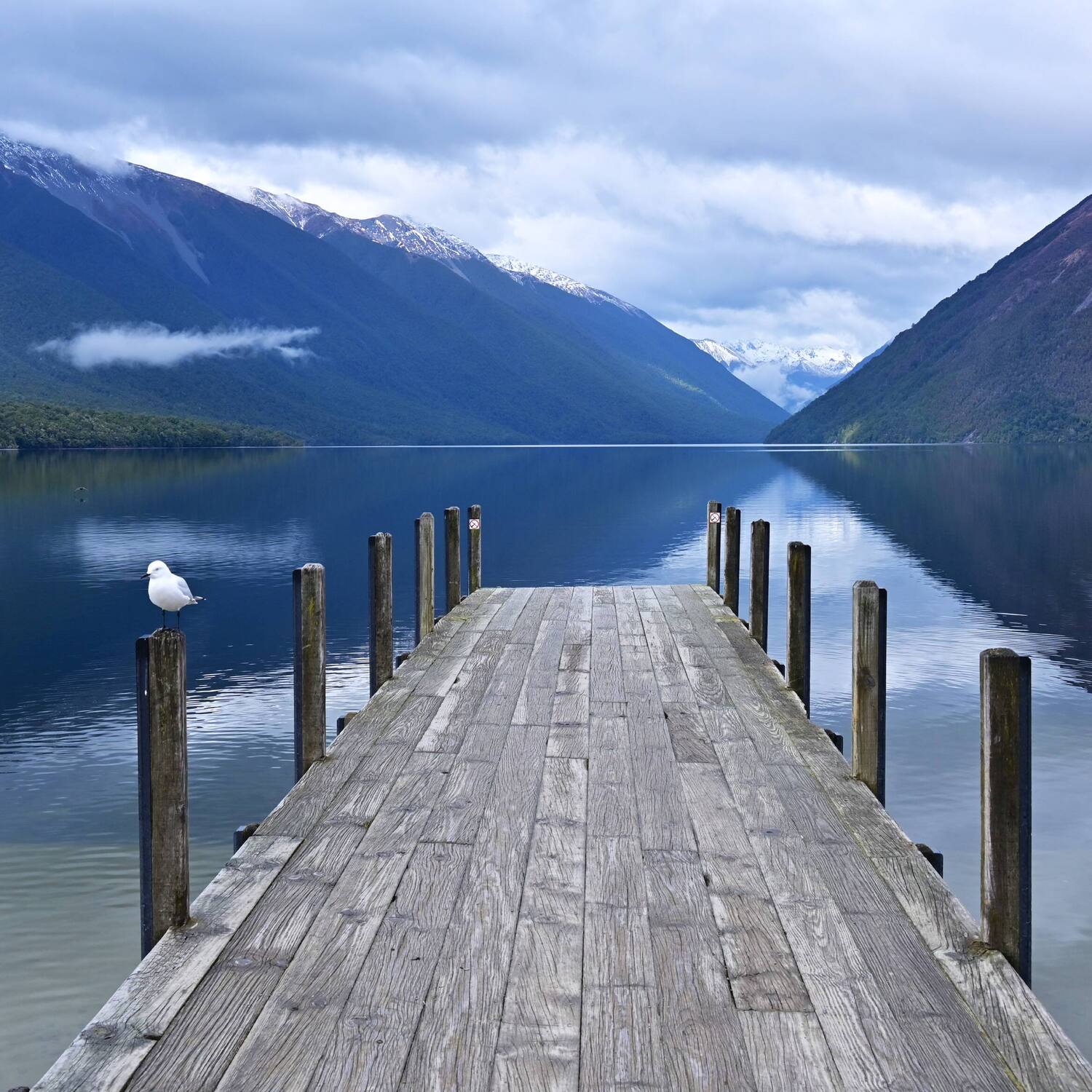 New Zealand 2025