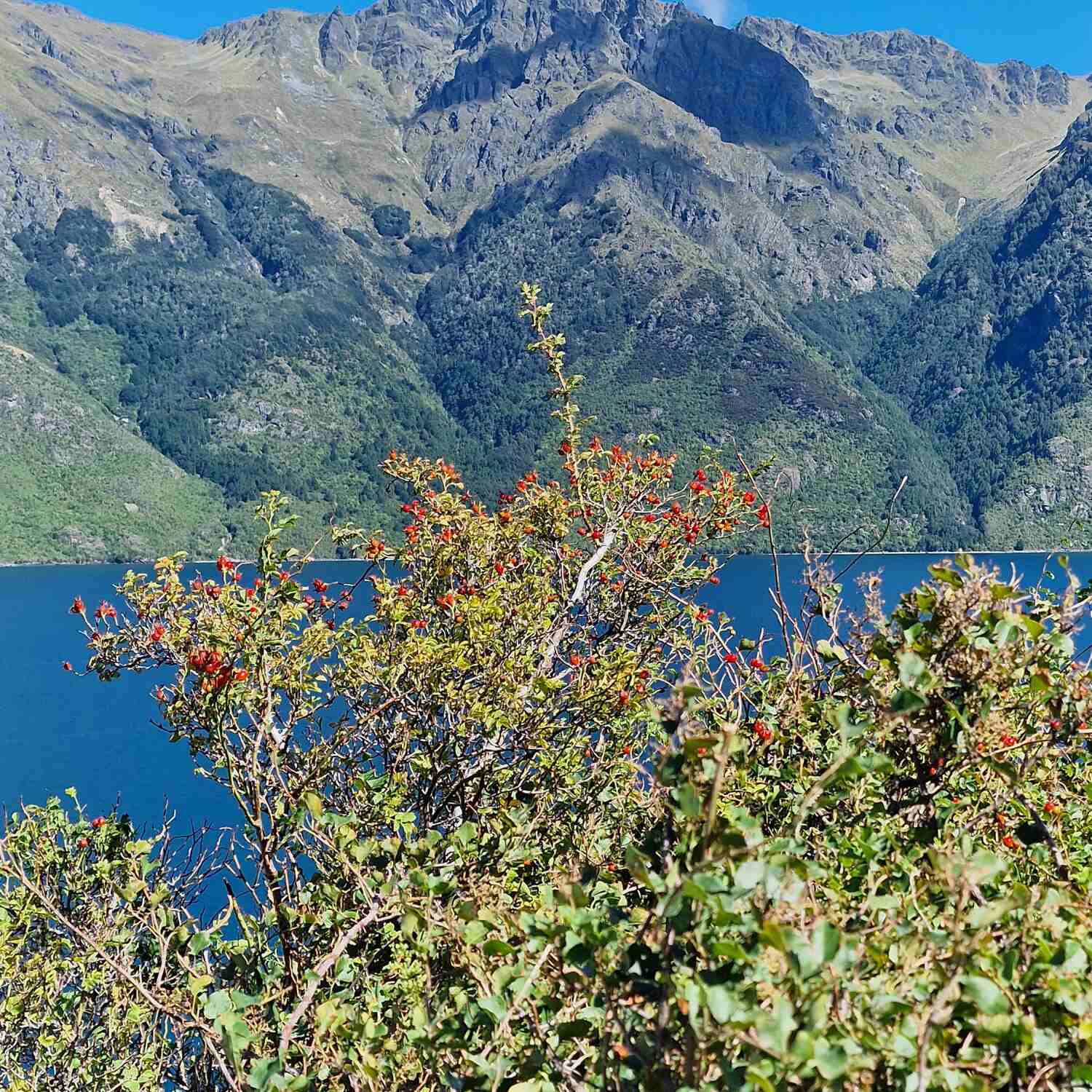 Arrowton und Umgebung