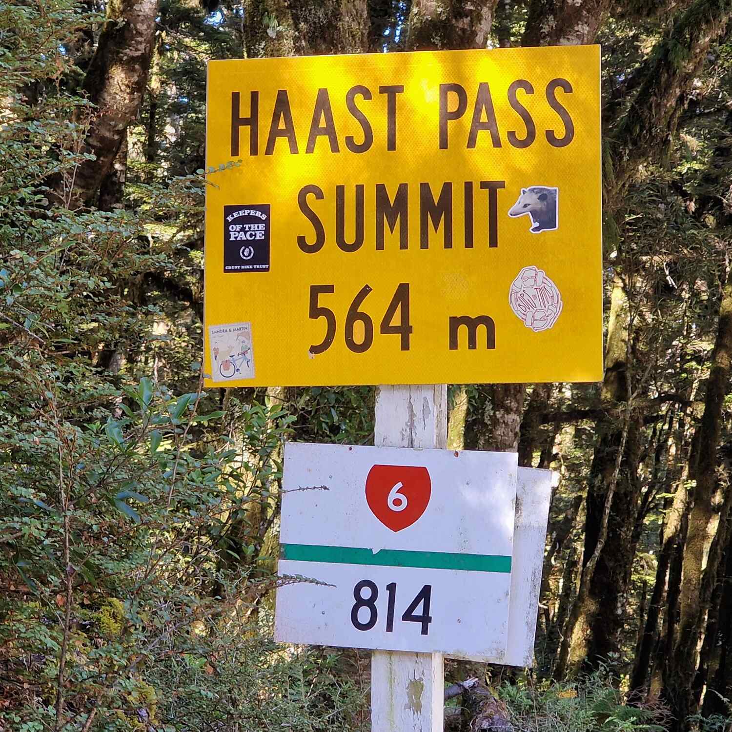 Wānaka- Haast Pass