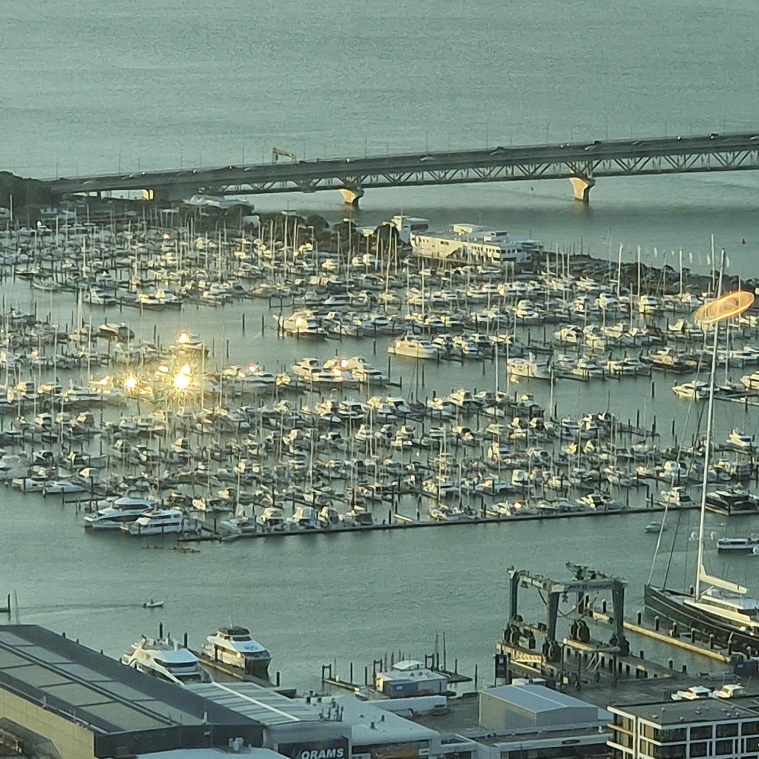 Auckland