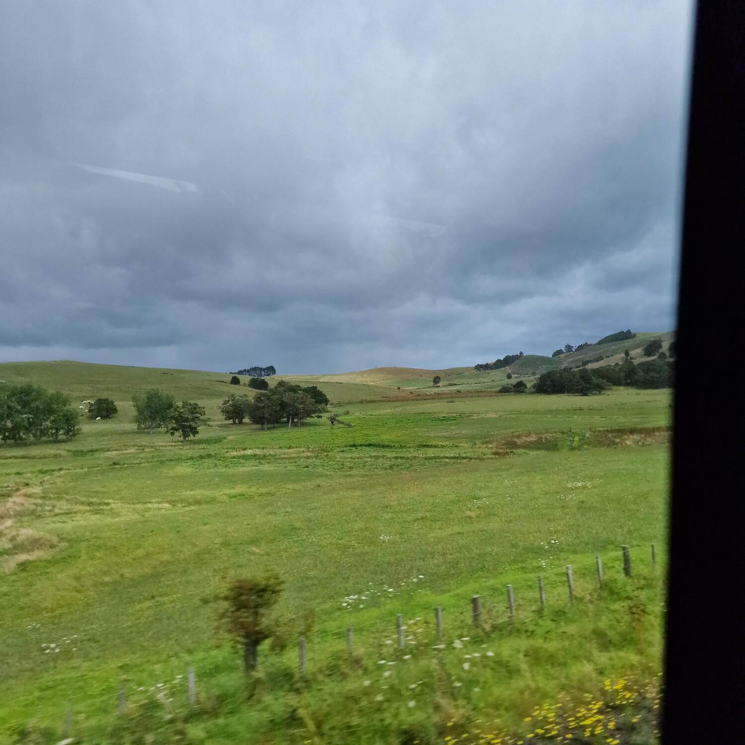 Kaitaia