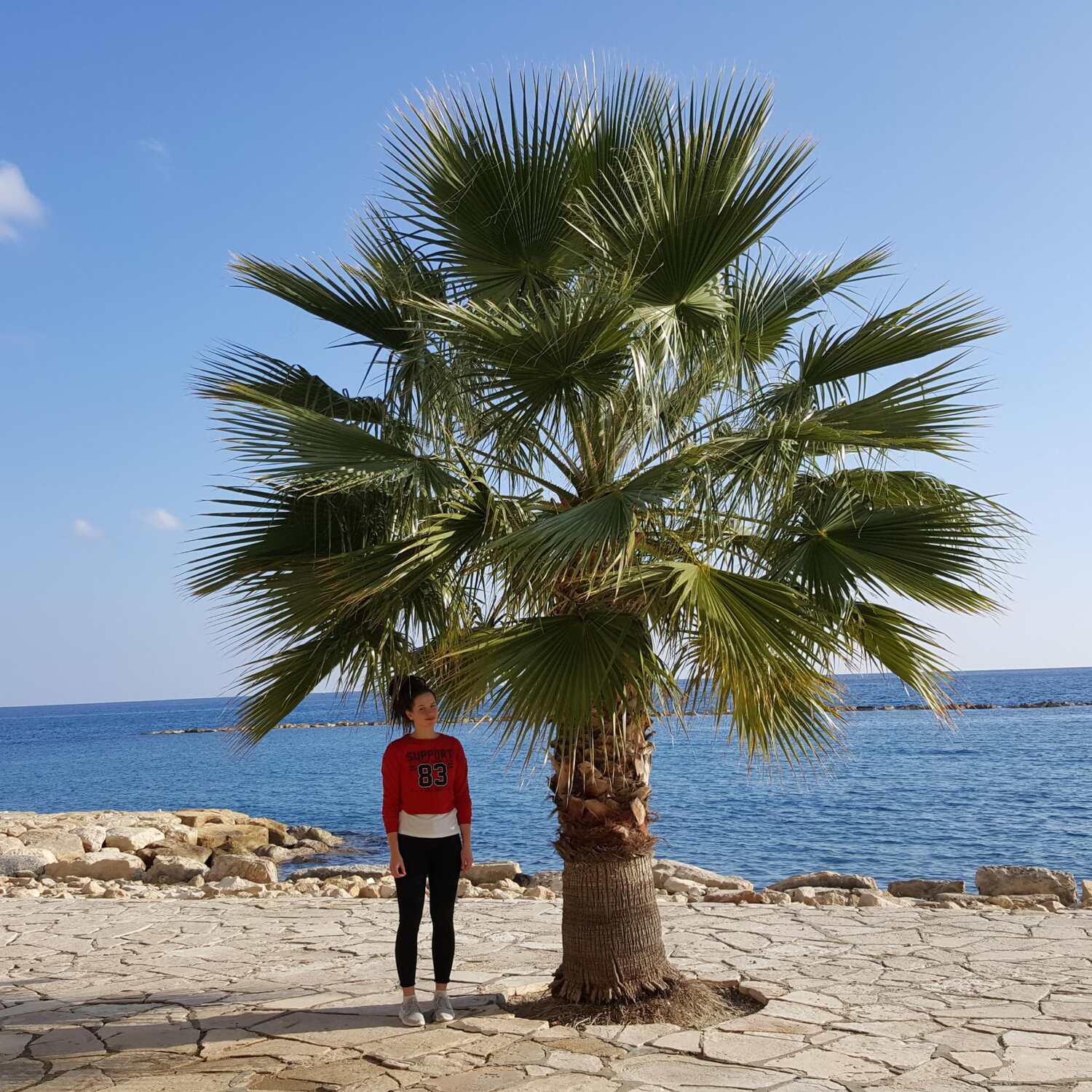 Cyprus