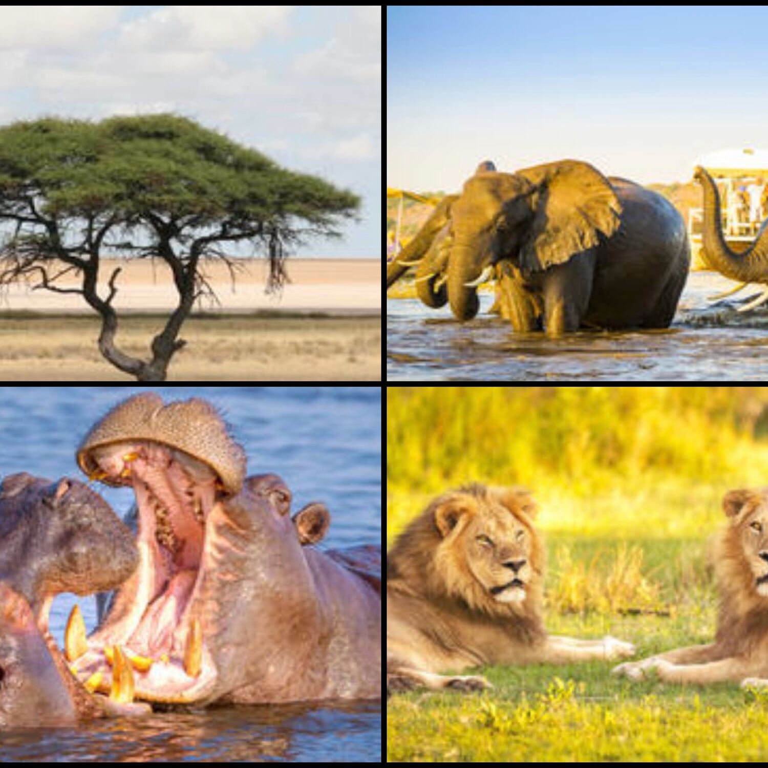 Namibia - Botswana Rundreise