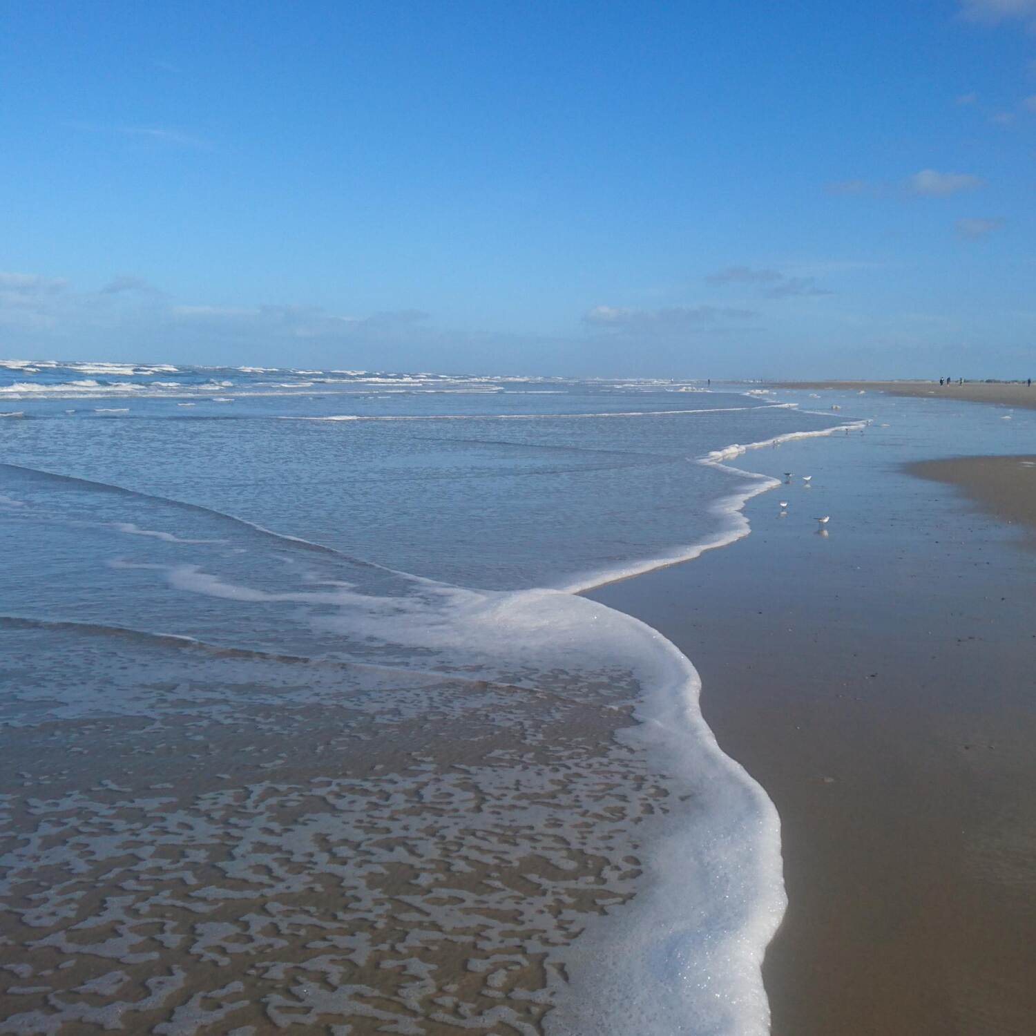 Wild Atlantic Way