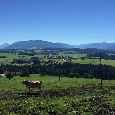 Camping-Urlaub