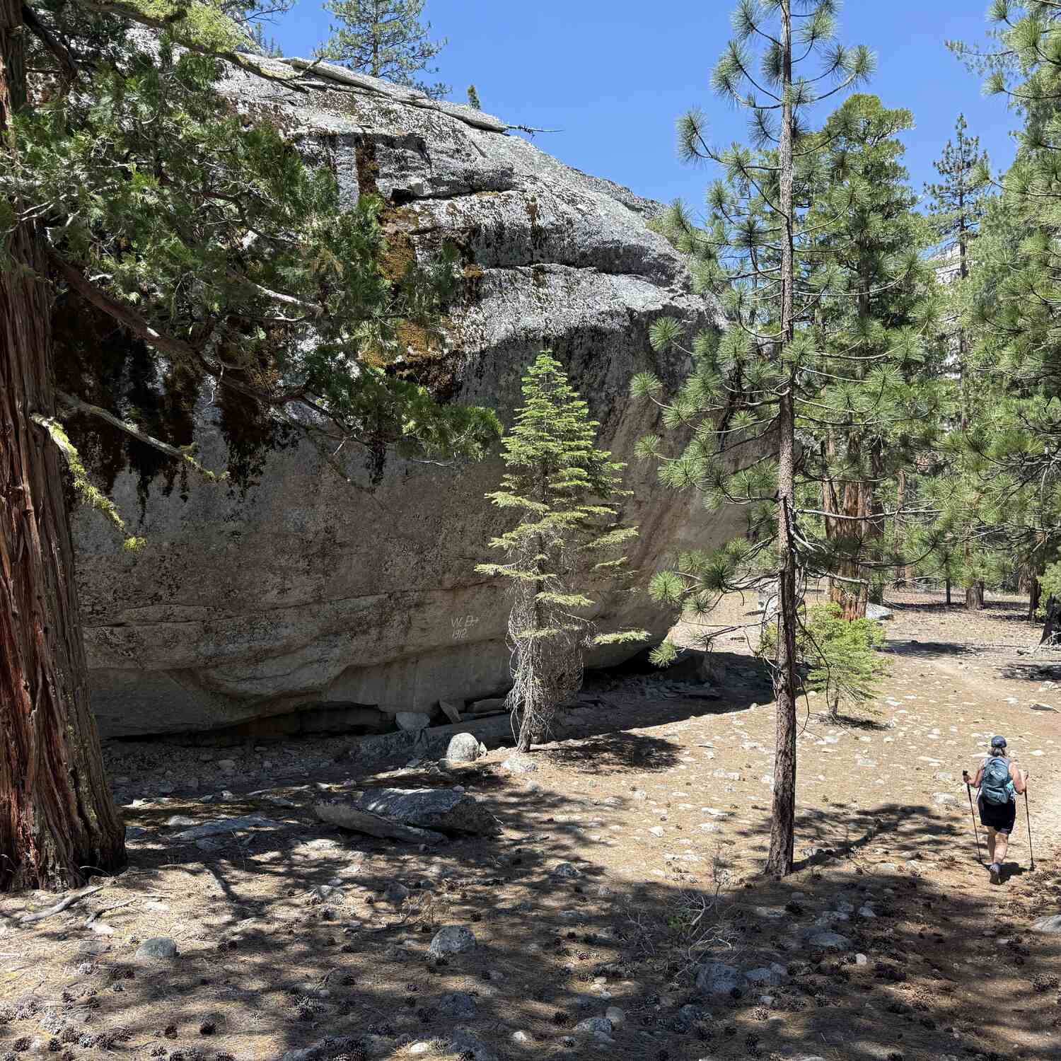Sequoia & Kings Canyon