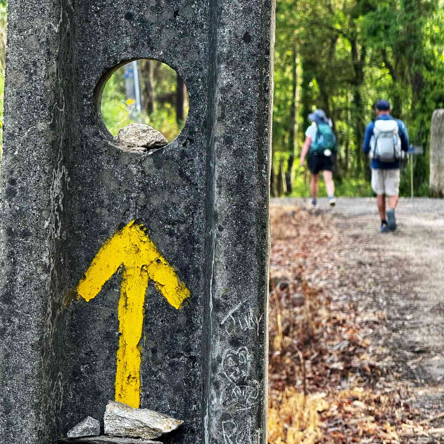Camino De Santiago - Portugues