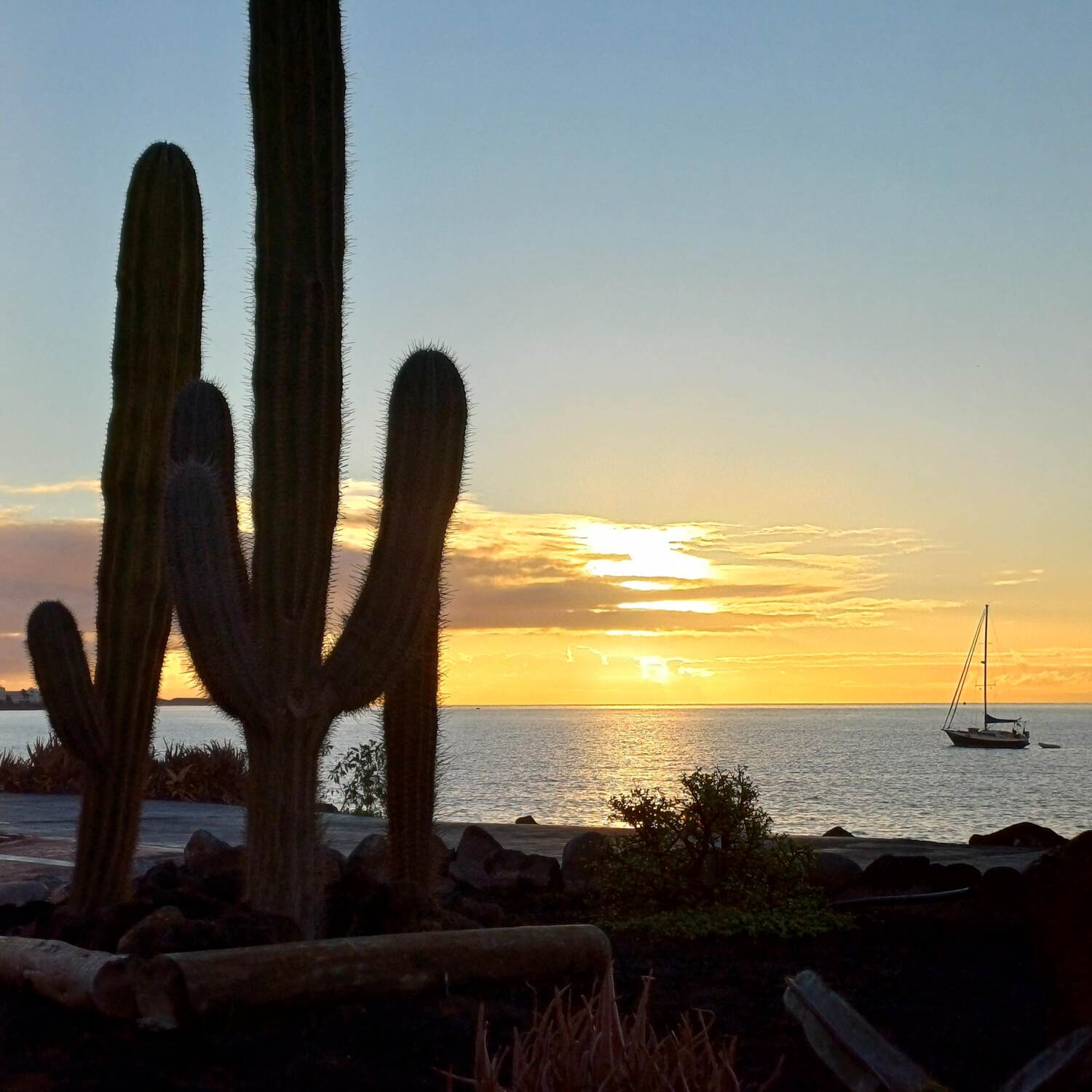 Lanzarote 2024