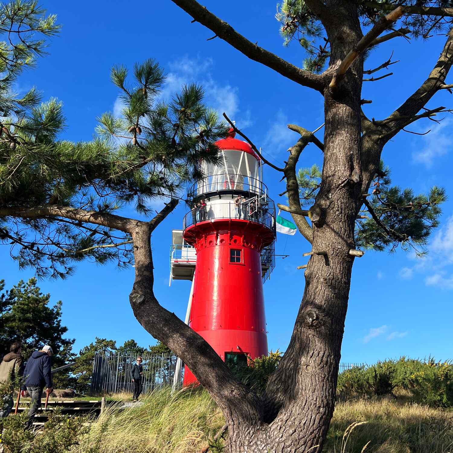 Vlieland