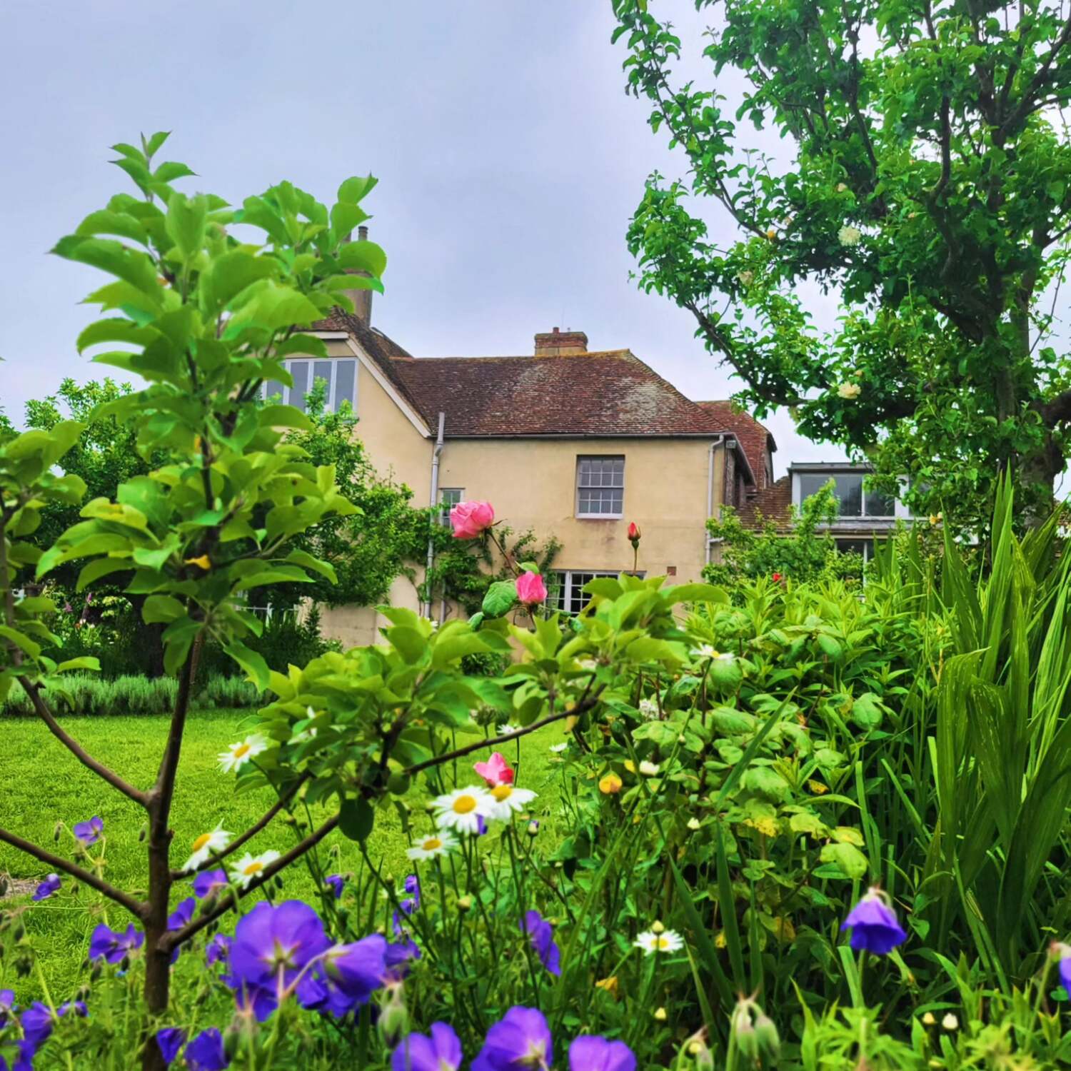 East Sussex