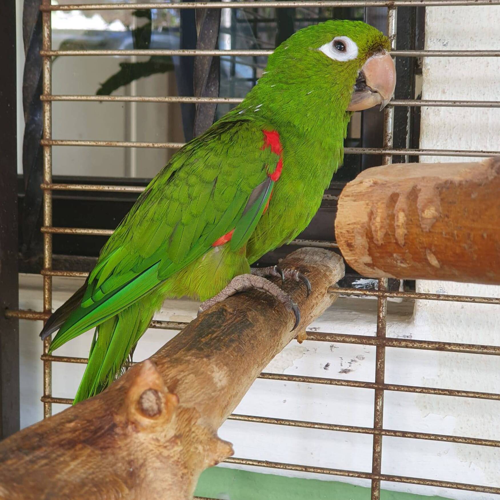 Dominikanische Republik 2023