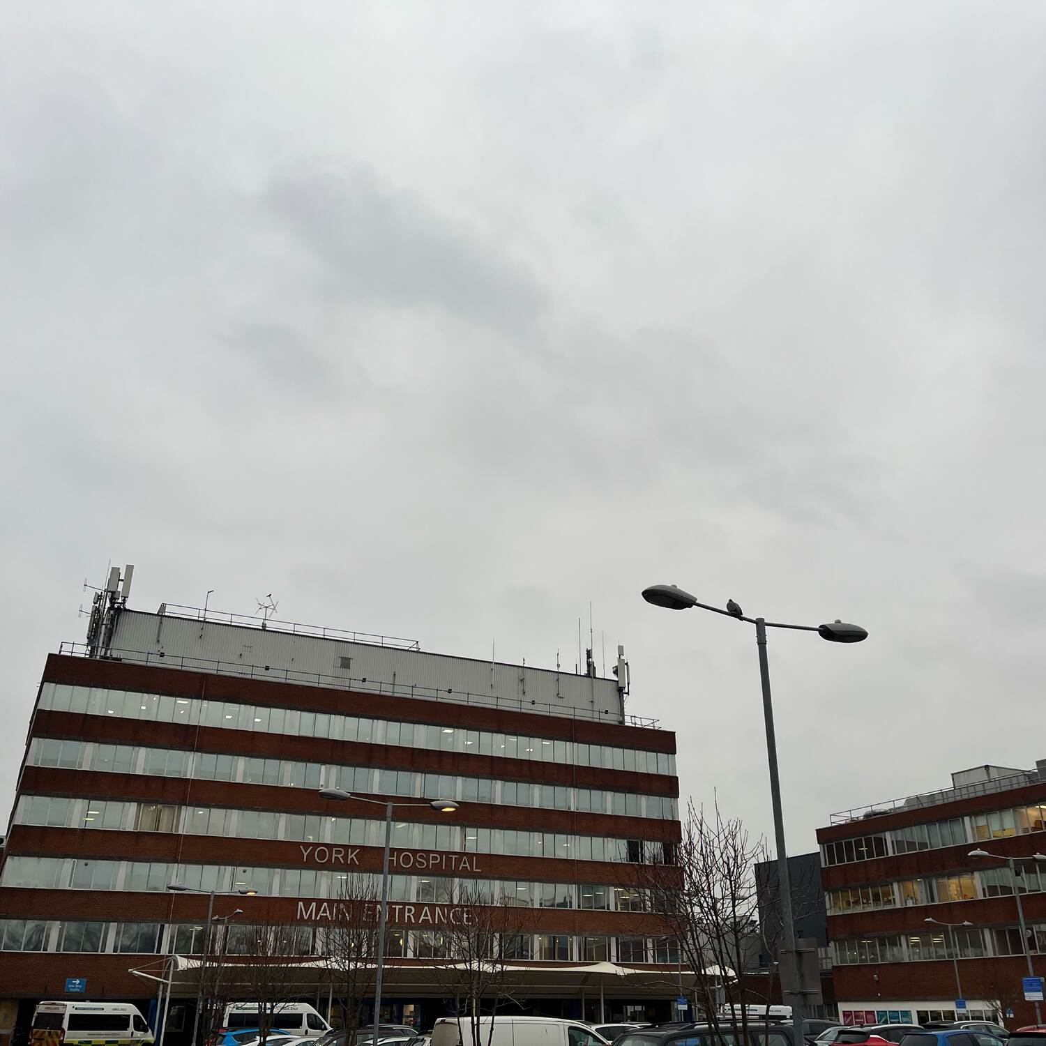 Tuesday 11 February 2025.