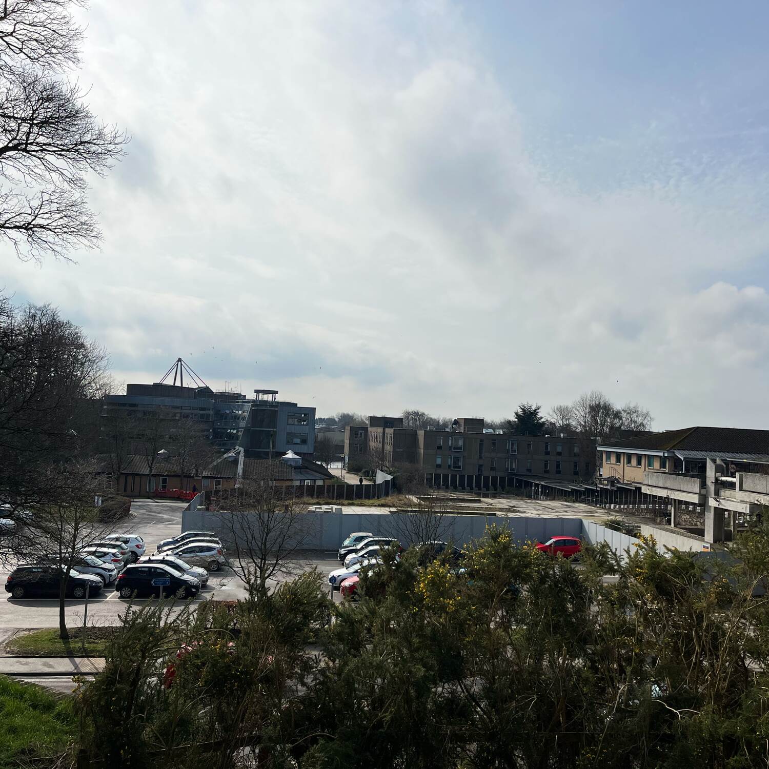 Friday 7 March 2025.