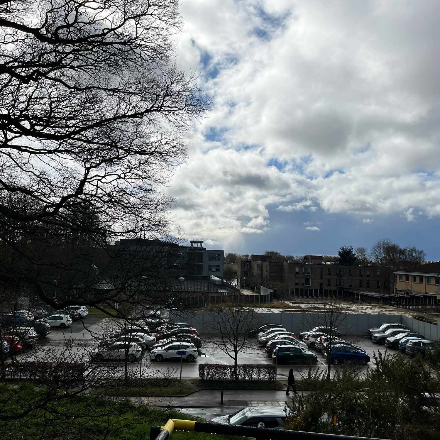 Wednesday 12 March 2025.