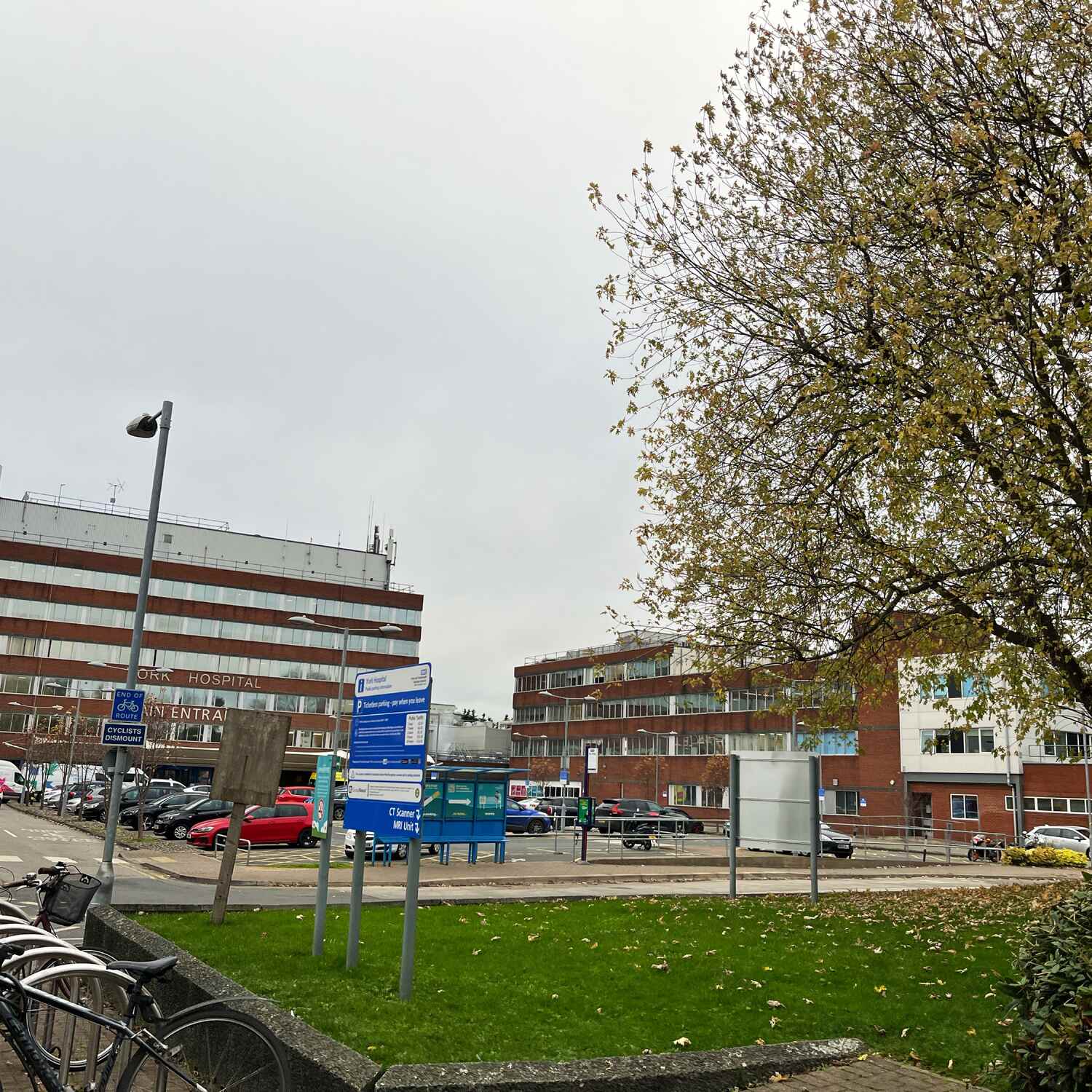 Thursday 31 October 2024