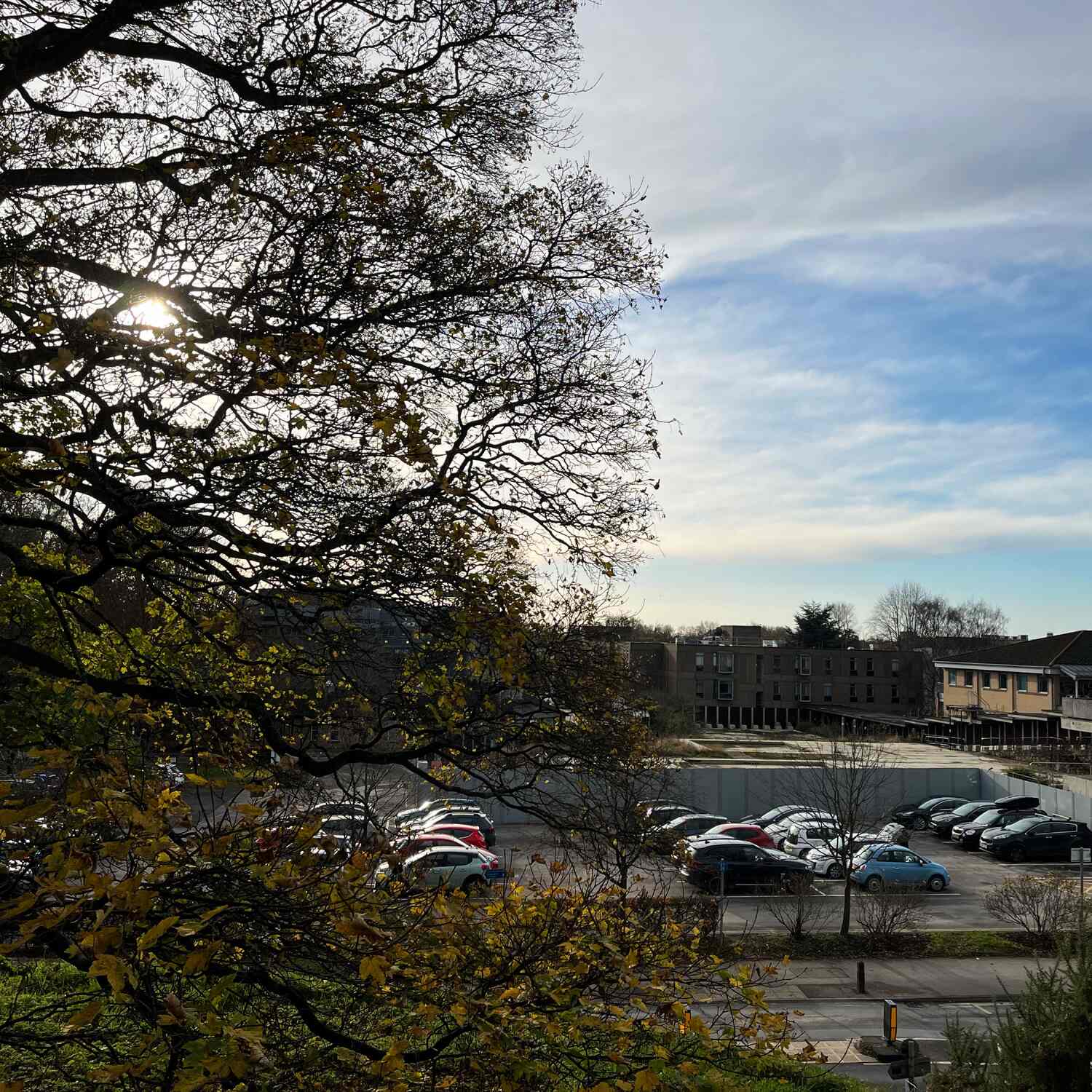 Wednesday 20 November 2024.