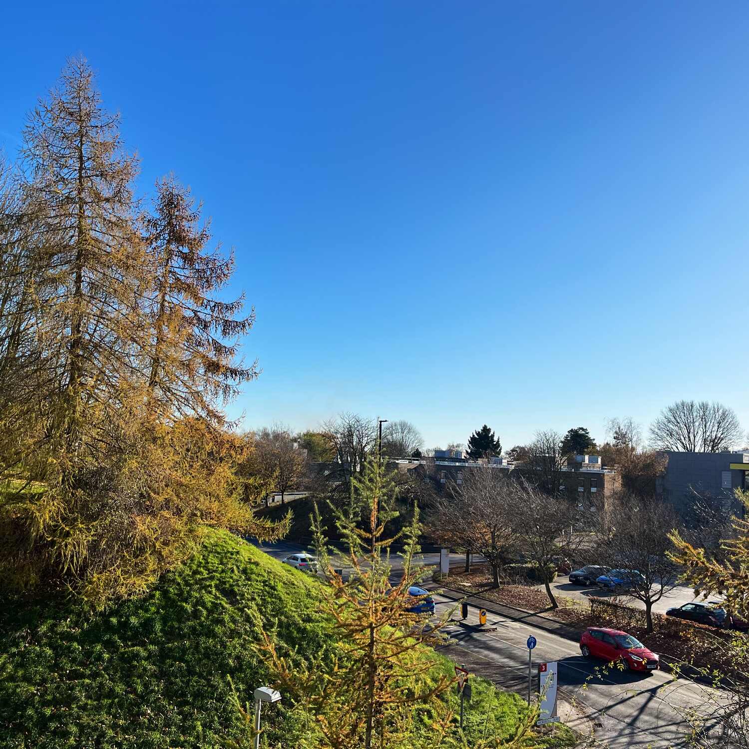 Friday 22 November 2024.