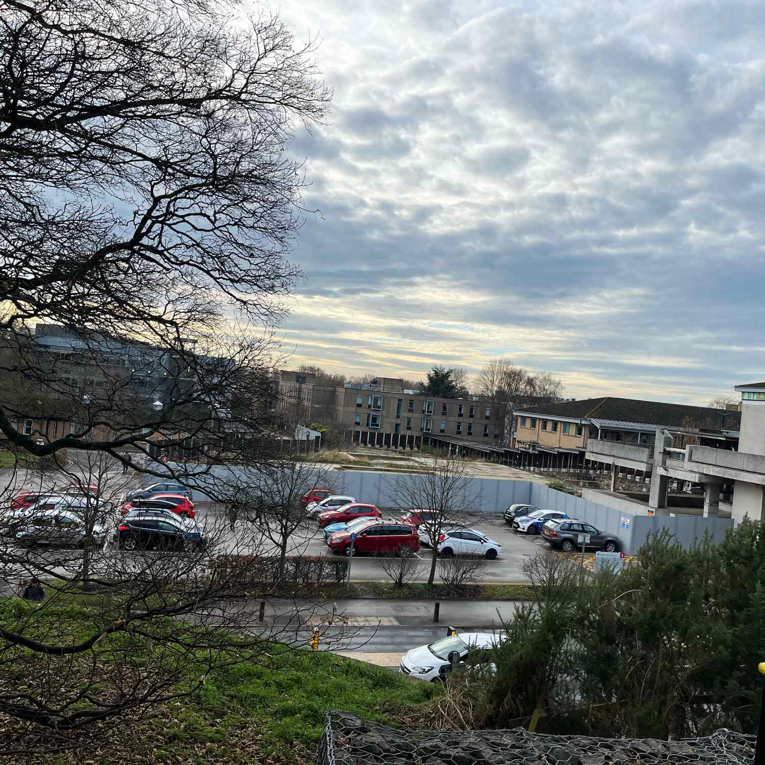 Friday 29 November 2024.